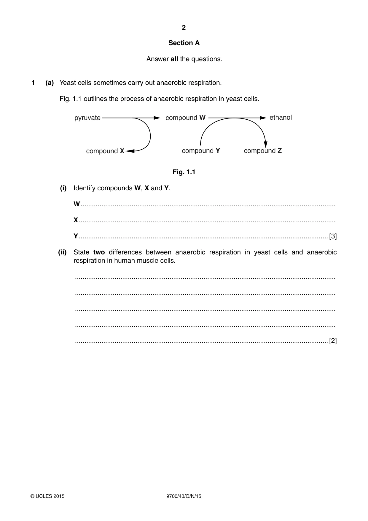 Cambridge A Level Biology 9700 2015 Oct/Nov Paper 4 · Variant 3 question paper, page 2 of 24