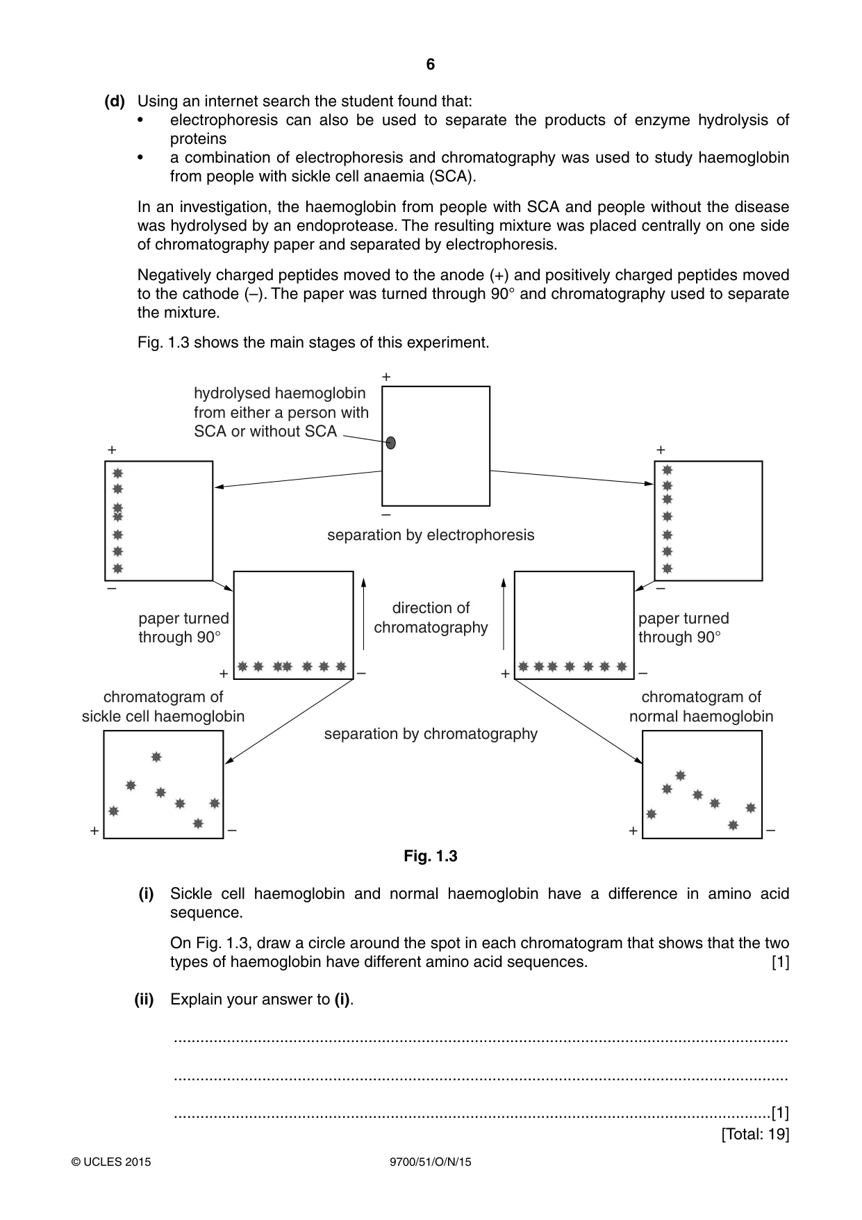 Cambridge A Level Biology 9700 2015 Oct/Nov Paper 5 · Variant 1 question paper, page 6 of 8