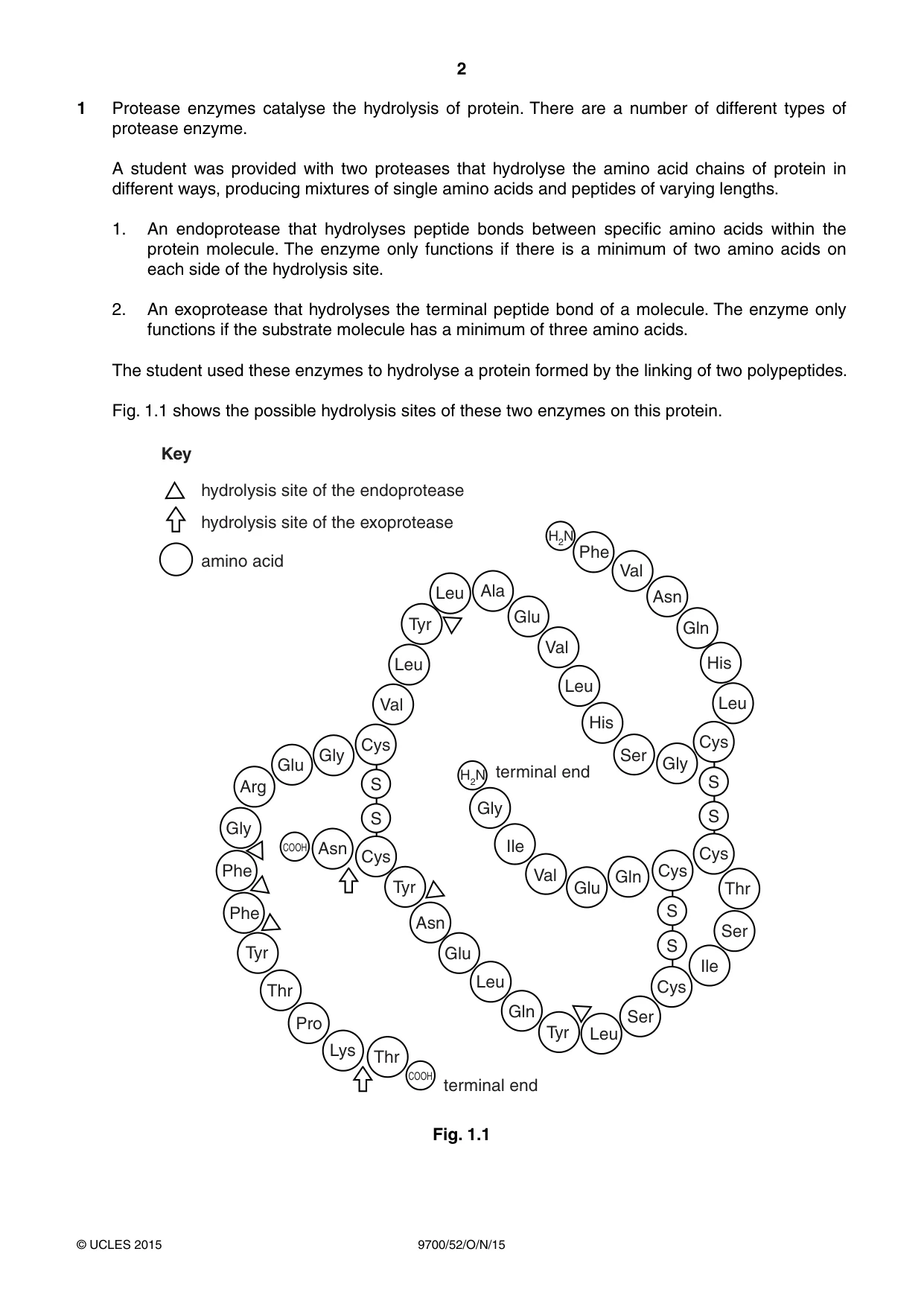 Cambridge A Level Biology 9700 2015 Oct/Nov Paper 5 · Variant 2 question paper, page 2 of 8