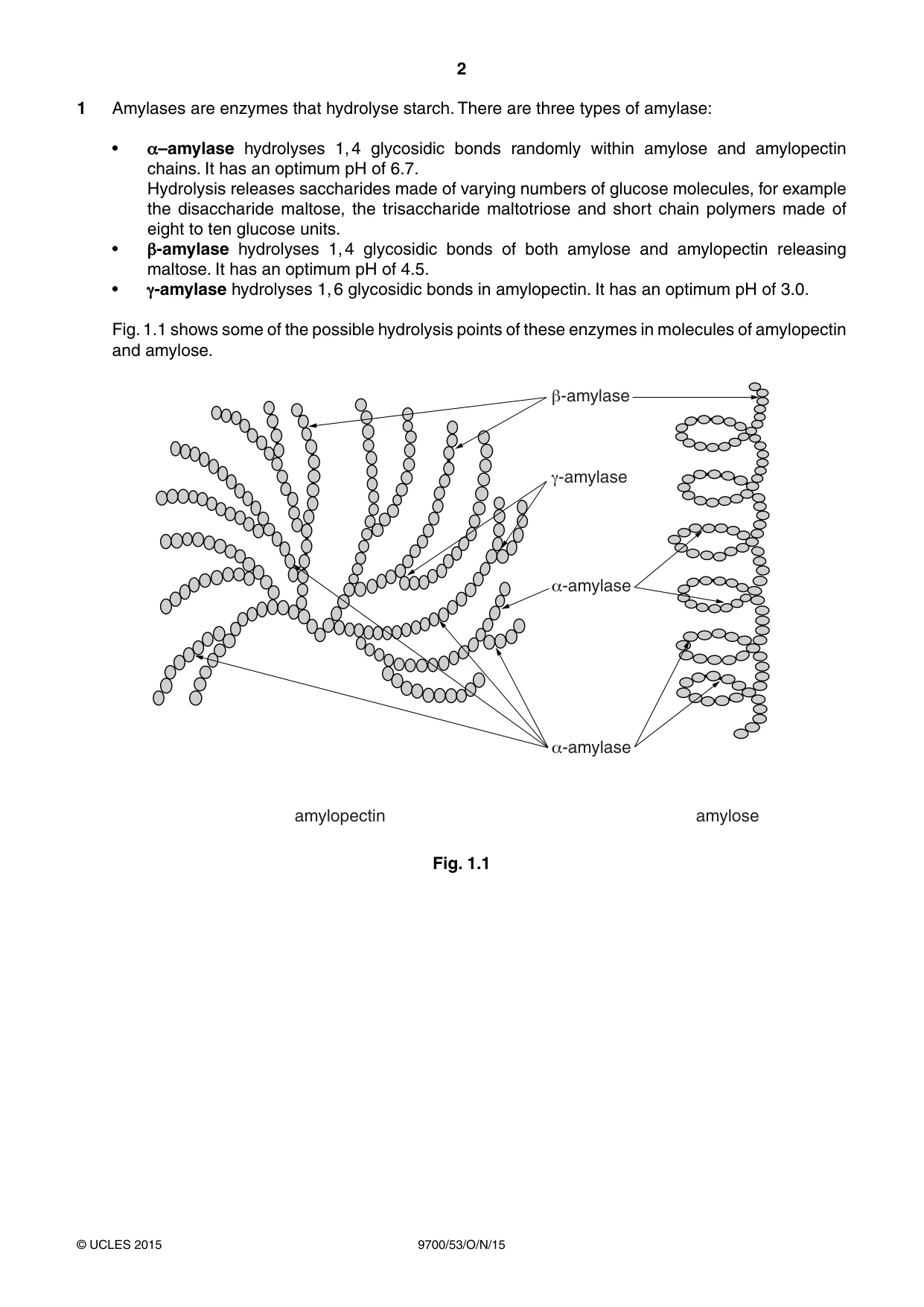 Cambridge A Level Biology 9700 2015 Oct/Nov Paper 5 · Variant 3 question paper, page 2 of 8