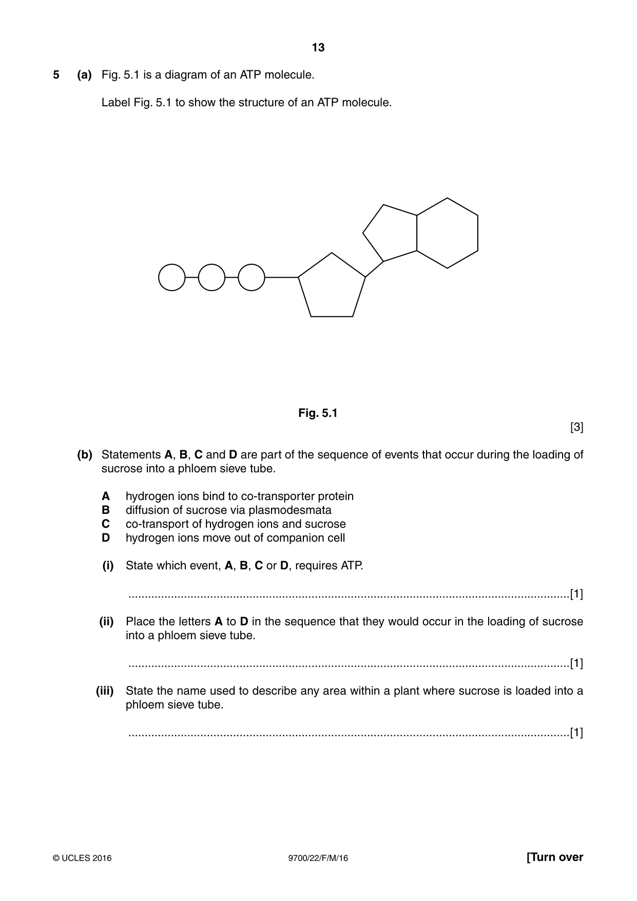 Cambridge A Level Biology 9700 2016 Feb/March Paper 2 · Variant 2 question paper, page 13 of 16