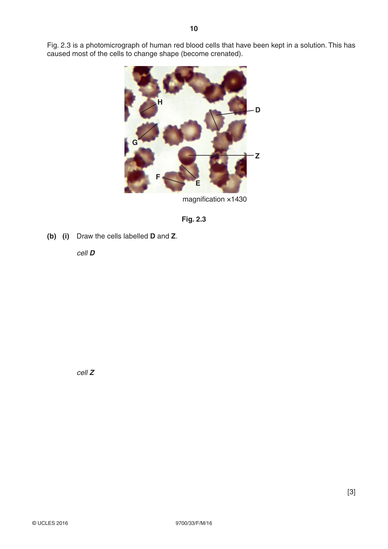 Cambridge A Level Biology 9700 2016 Feb/March Paper 3 · Variant 3 question paper, page 10 of 12
