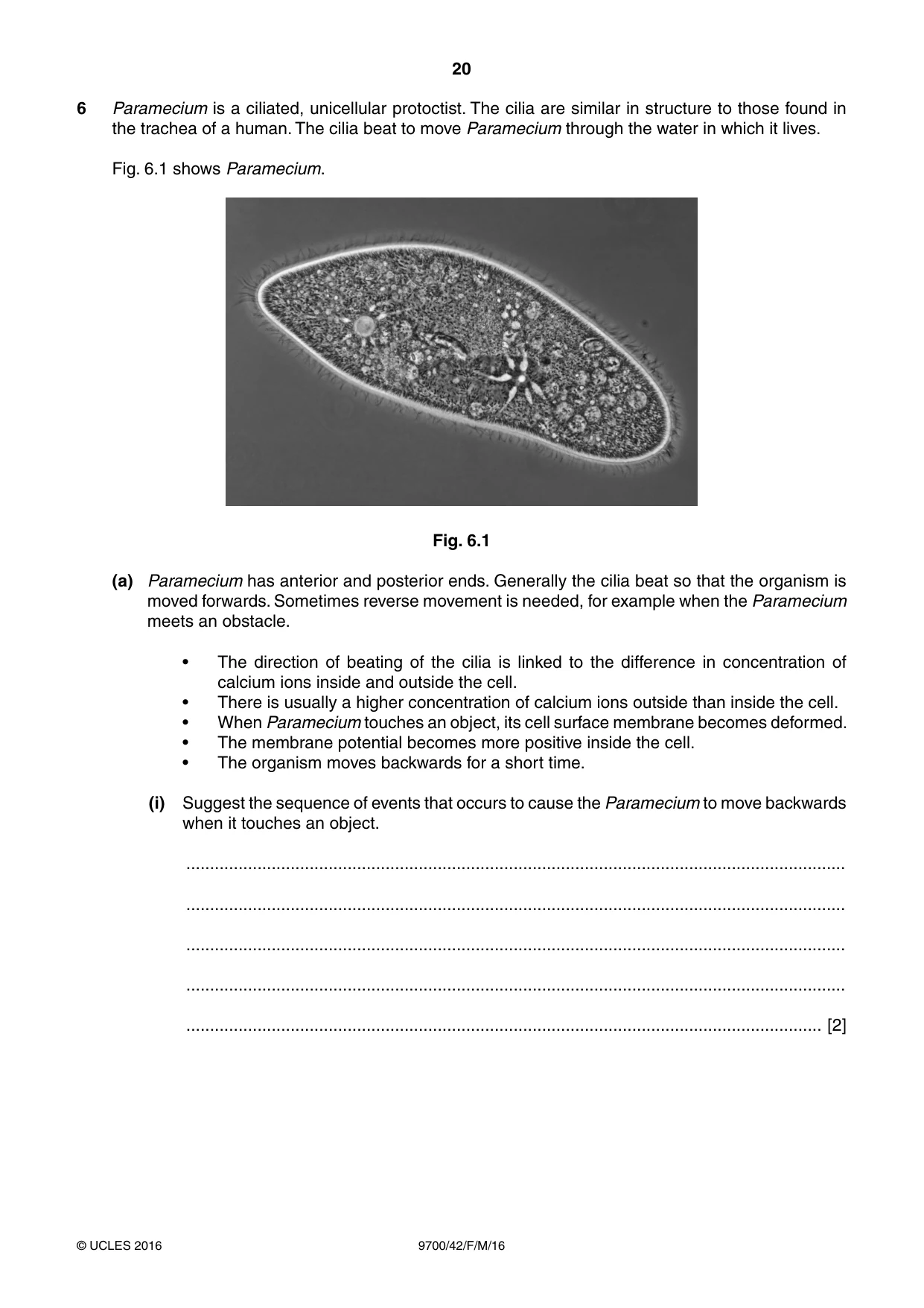 Cambridge A Level Biology 9700 2016 Feb/March Paper 4 · Variant 2 question paper, page 20 of 28