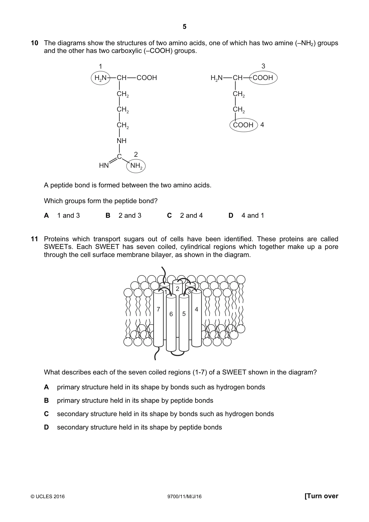 Cambridge A Level Biology 9700 2016 May/June Paper 1 · Variant 1 question paper, page 5 of 16