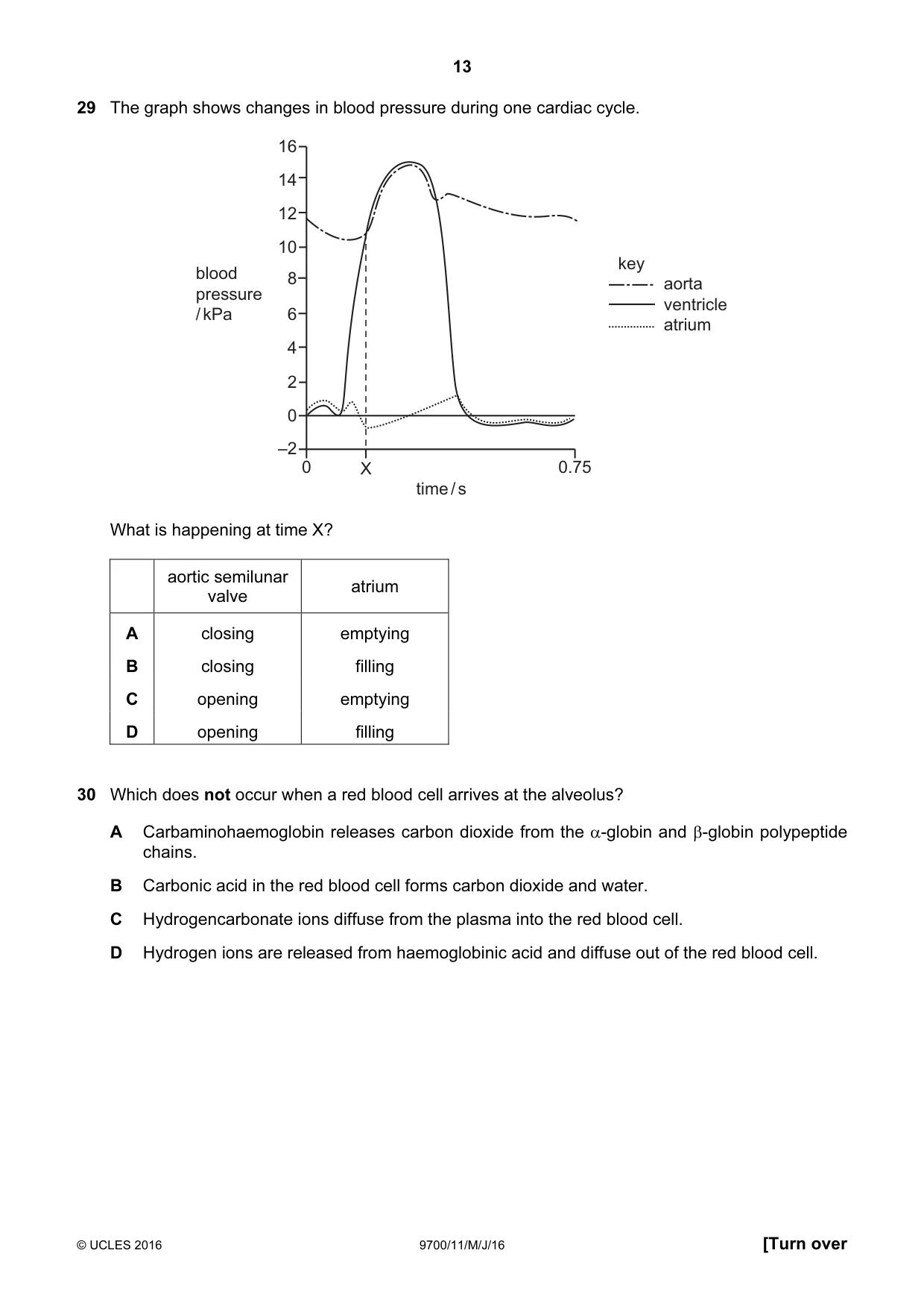 Cambridge A Level Biology 9700 2016 May/June Paper 1 · Variant 1 question paper, page 13 of 16