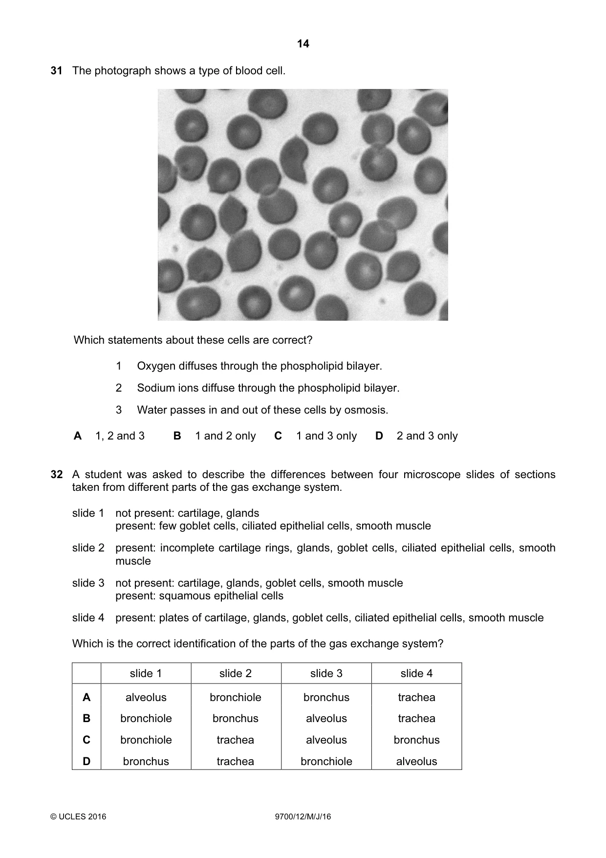Cambridge A Level Biology 9700 2016 May/June Paper 1 · Variant 2 question paper, page 14 of 16