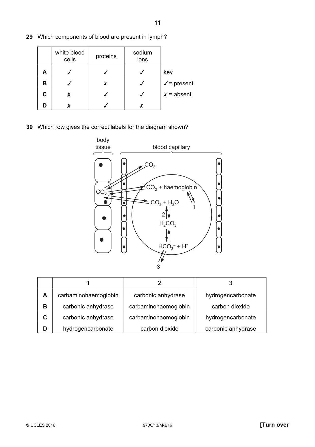 Cambridge A Level Biology 9700 2016 May/June Paper 1 · Variant 3 question paper, page 11 of 16