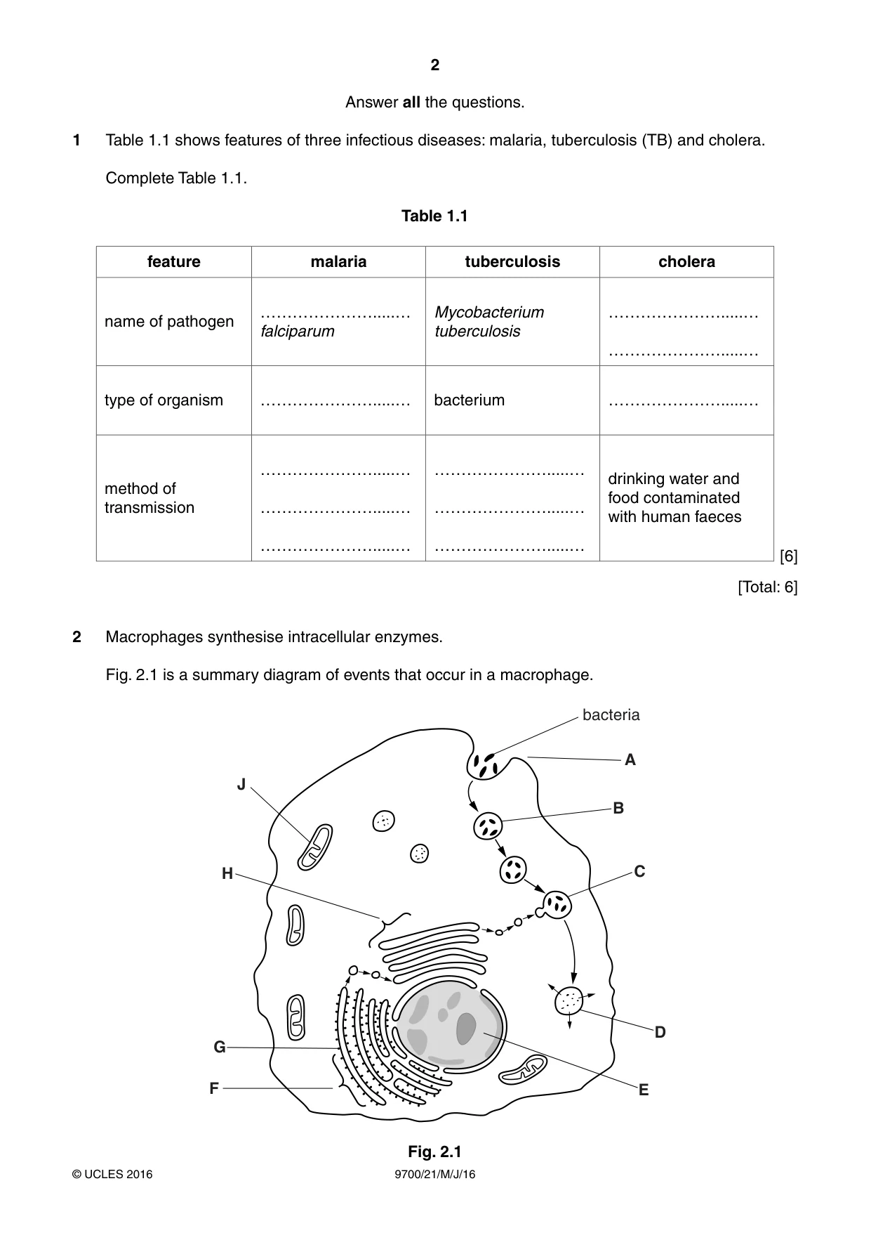 Cambridge A Level Biology 9700 2016 May/June Paper 2 · Variant 1 question paper, page 2 of 16