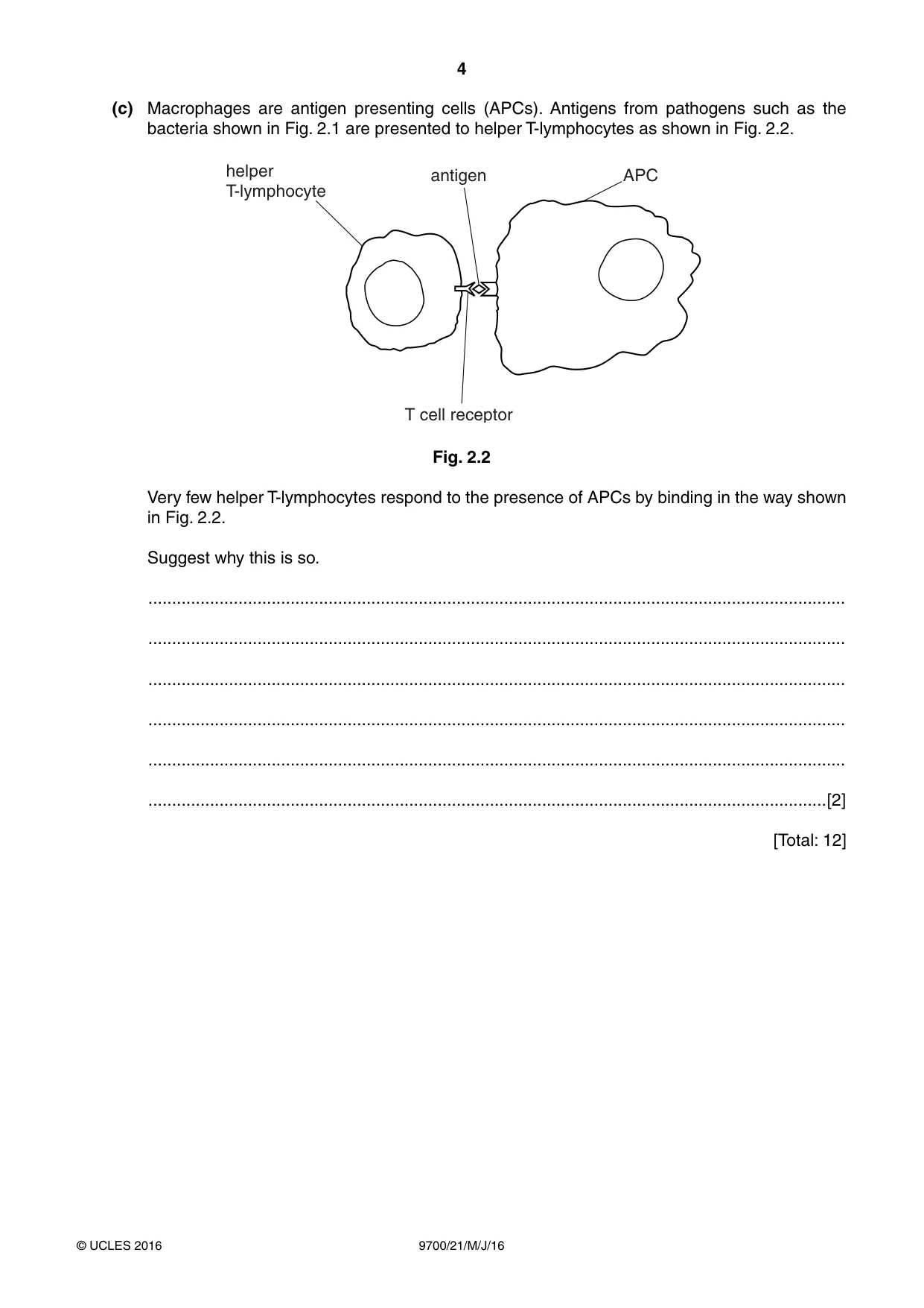 Cambridge A Level Biology 9700 2016 May/June Paper 2 · Variant 1 question paper, page 4 of 16