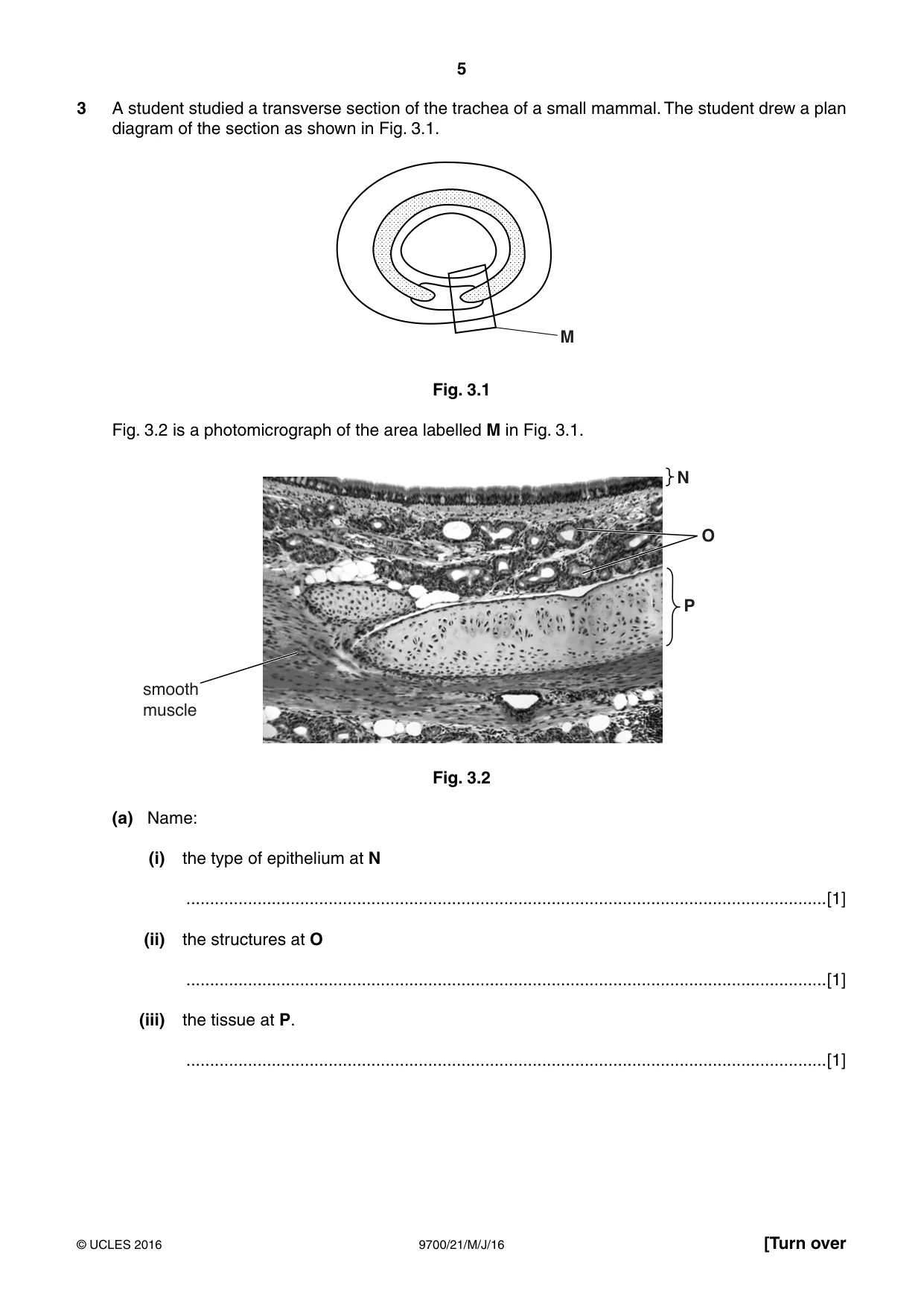 Cambridge A Level Biology 9700 2016 May/June Paper 2 · Variant 1 question paper, page 5 of 16