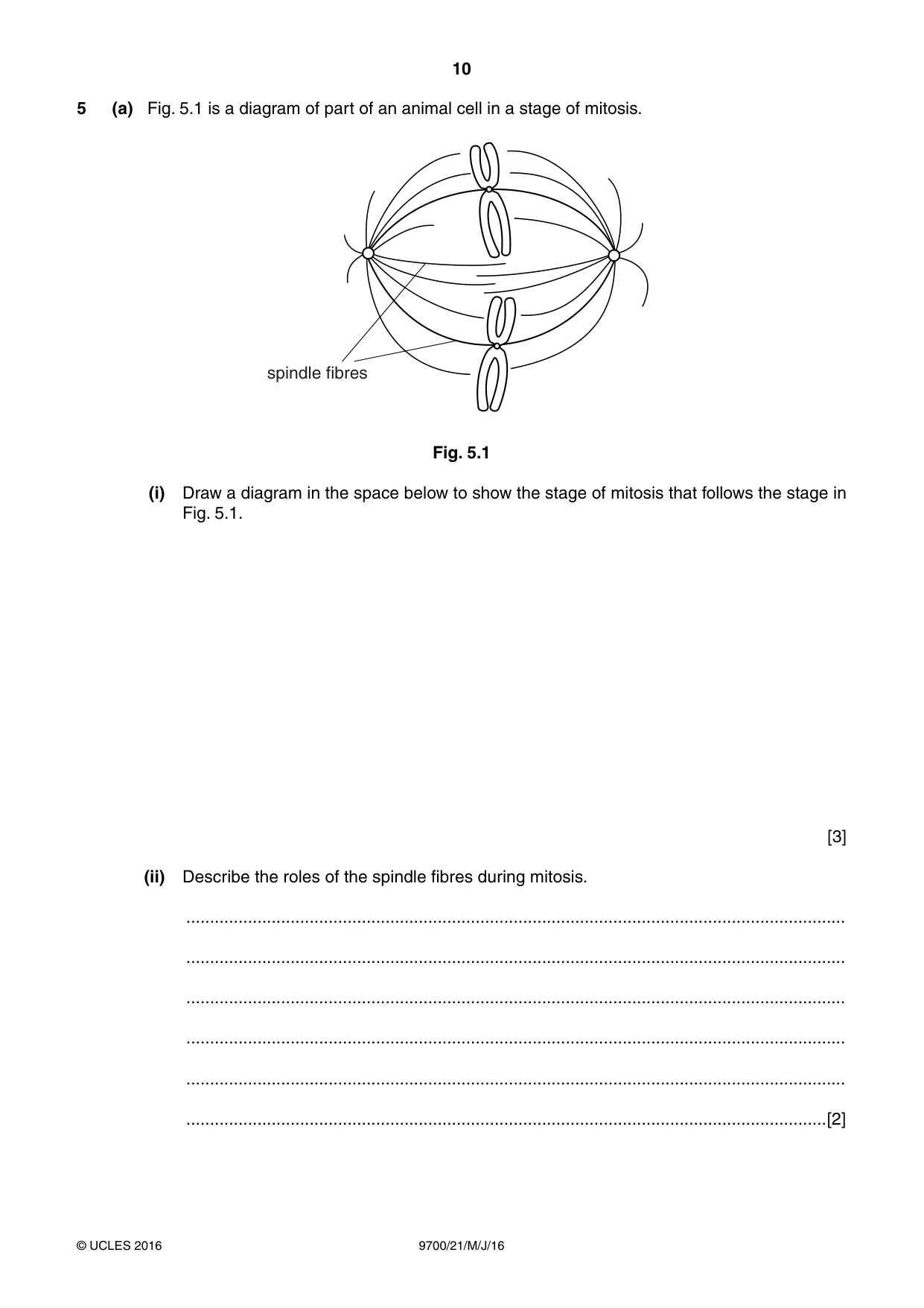 Cambridge A Level Biology 9700 2016 May/June Paper 2 · Variant 1 question paper, page 10 of 16