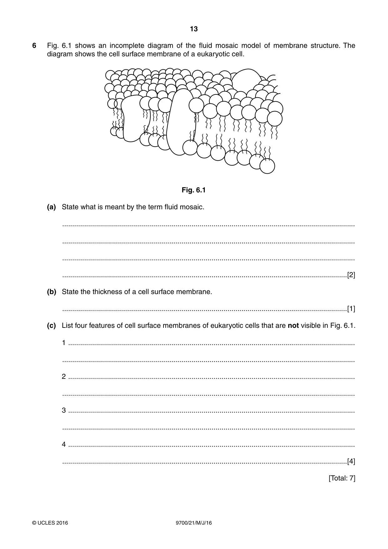 Cambridge A Level Biology 9700 2016 May/June Paper 2 · Variant 1 question paper, page 13 of 16
