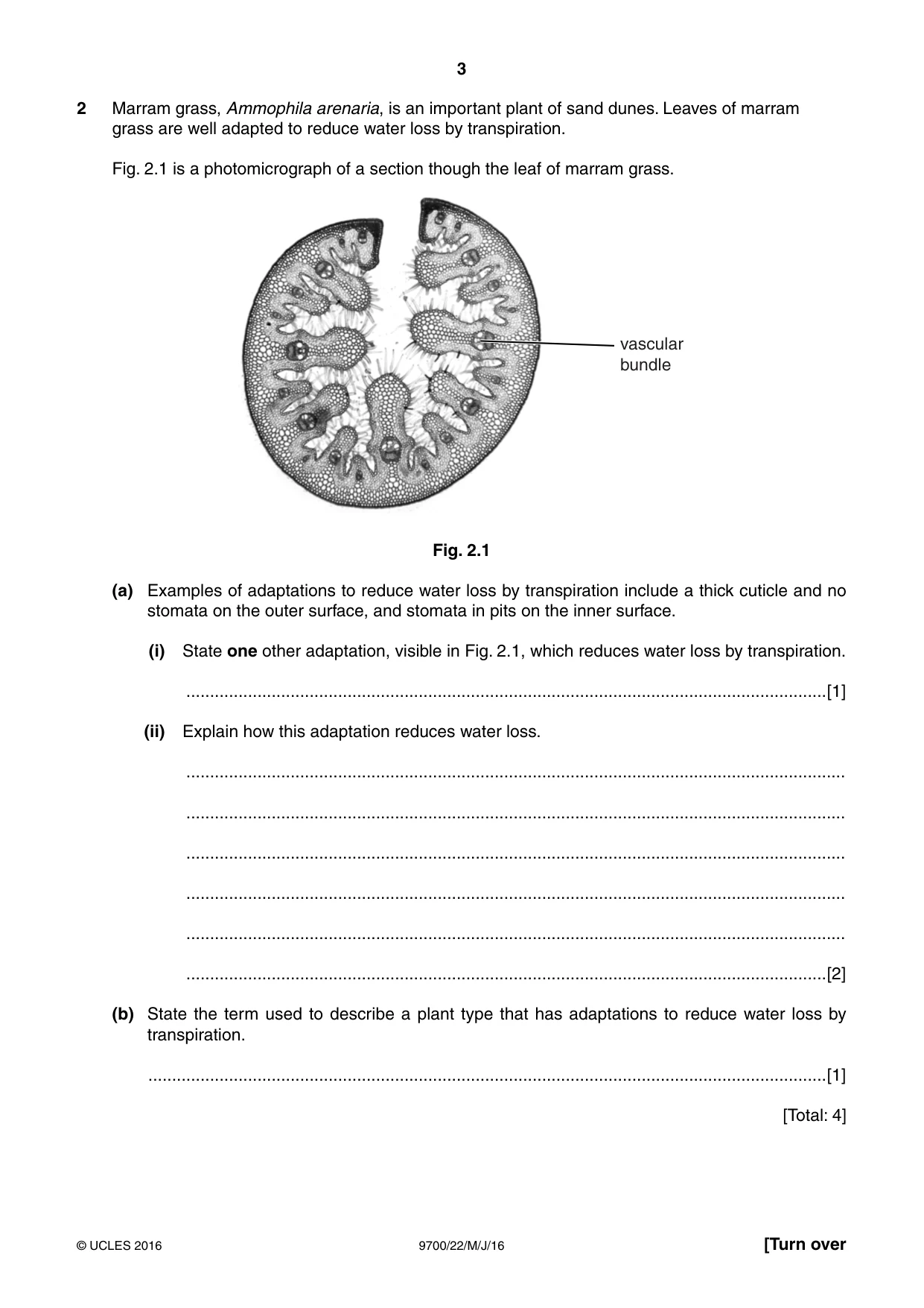 Cambridge A Level Biology 9700 2016 May/June Paper 2 · Variant 2 question paper, page 3 of 16