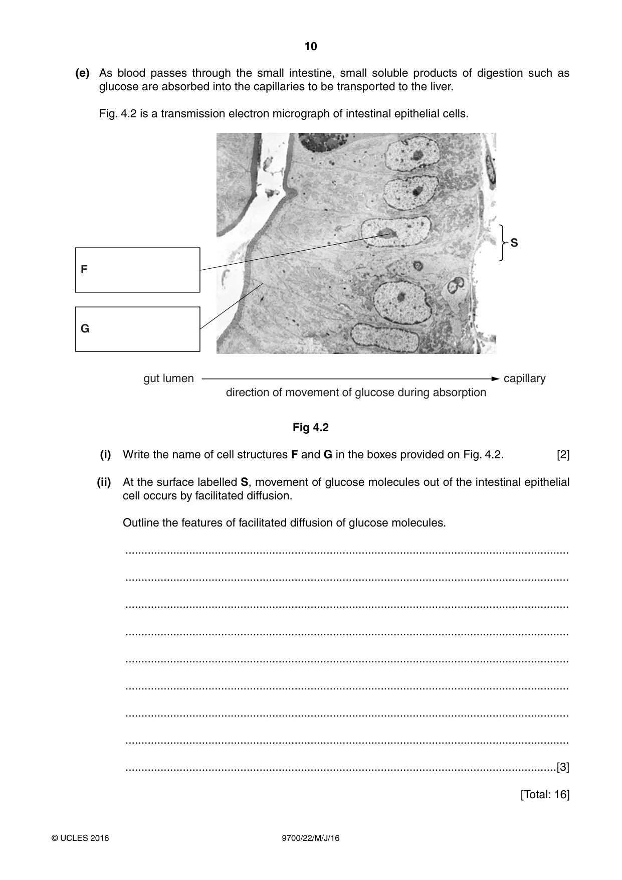Cambridge A Level Biology 9700 2016 May/June Paper 2 · Variant 2 question paper, page 10 of 16