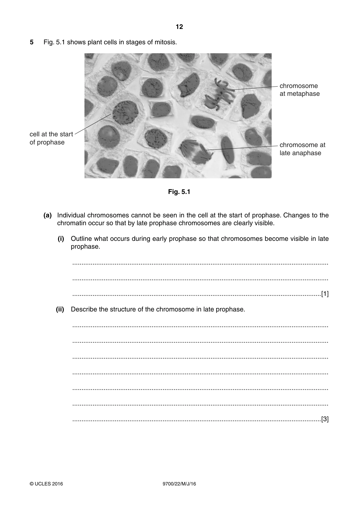 Cambridge A Level Biology 9700 2016 May/June Paper 2 · Variant 2 question paper, page 12 of 16