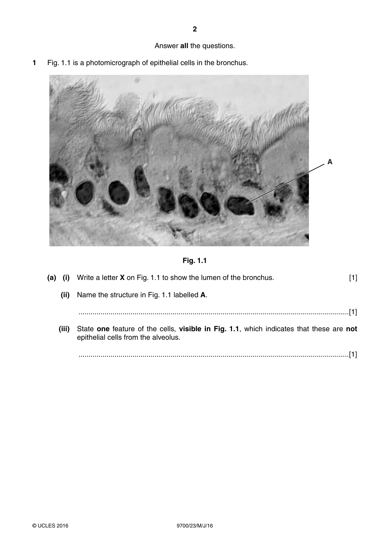 Cambridge A Level Biology 9700 2016 May/June Paper 2 · Variant 3 question paper, page 2 of 12