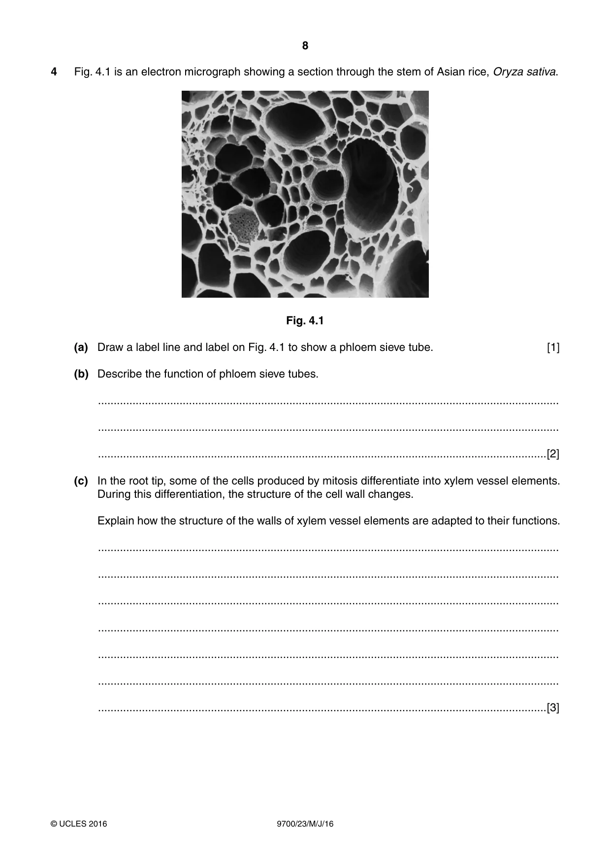 Cambridge A Level Biology 9700 2016 May/June Paper 2 · Variant 3 question paper, page 8 of 12