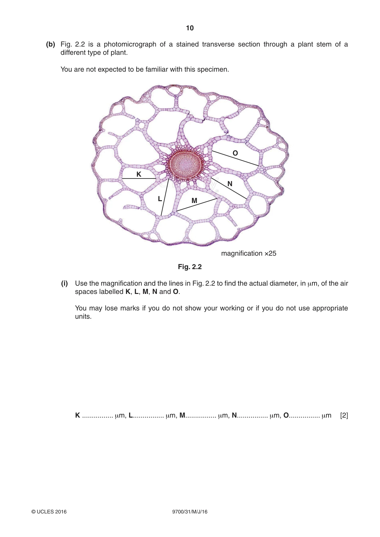 Cambridge A Level Biology 9700 2016 May/June Paper 3 · Variant 1 question paper, page 10 of 12