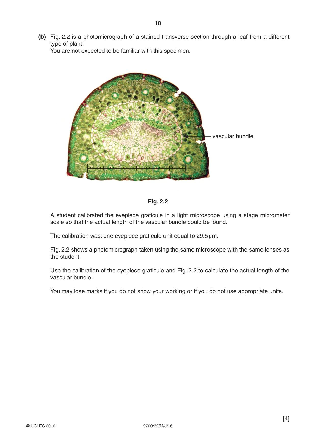Cambridge A Level Biology 9700 2016 May/June Paper 3 · Variant 2 question paper, page 10 of 12