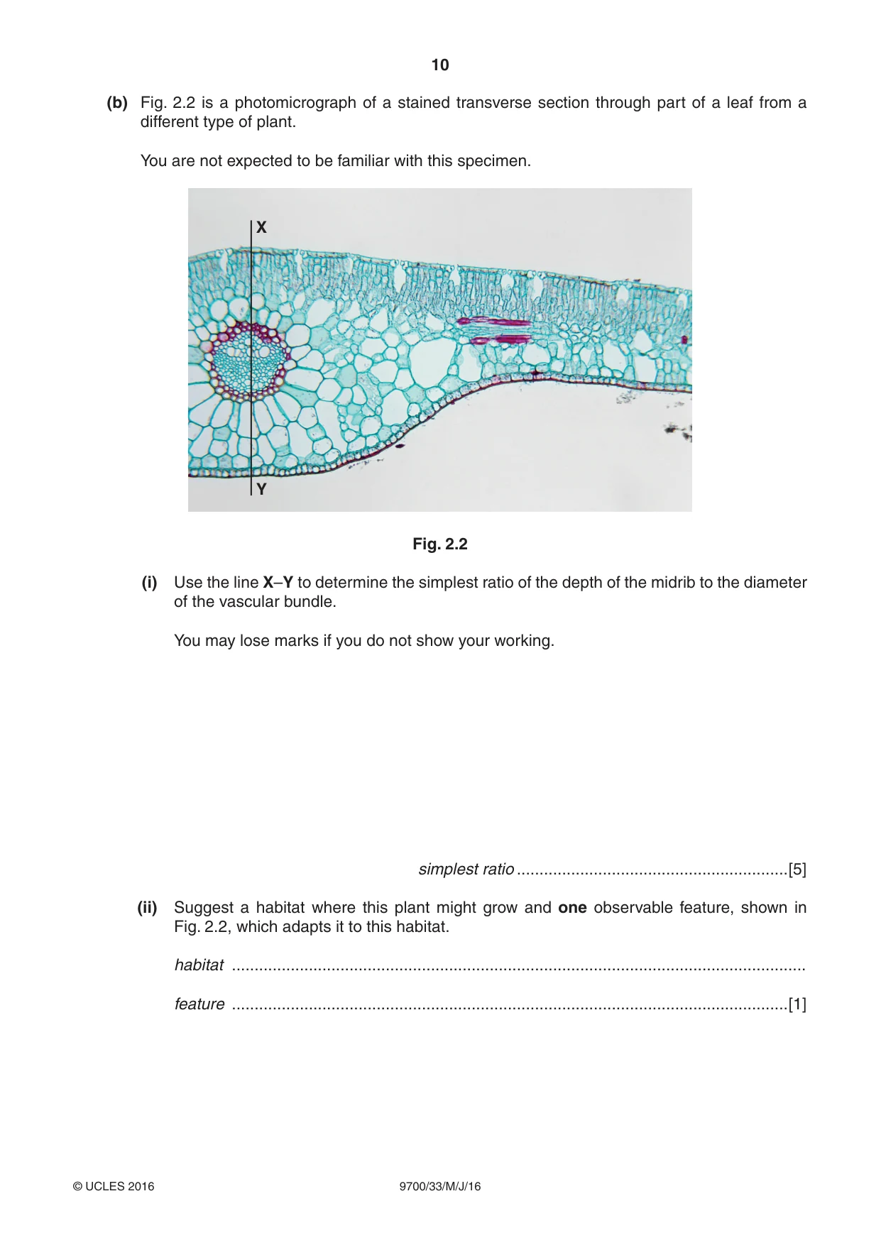 Cambridge A Level Biology 9700 2016 May/June Paper 3 · Variant 3 question paper, page 10 of 12