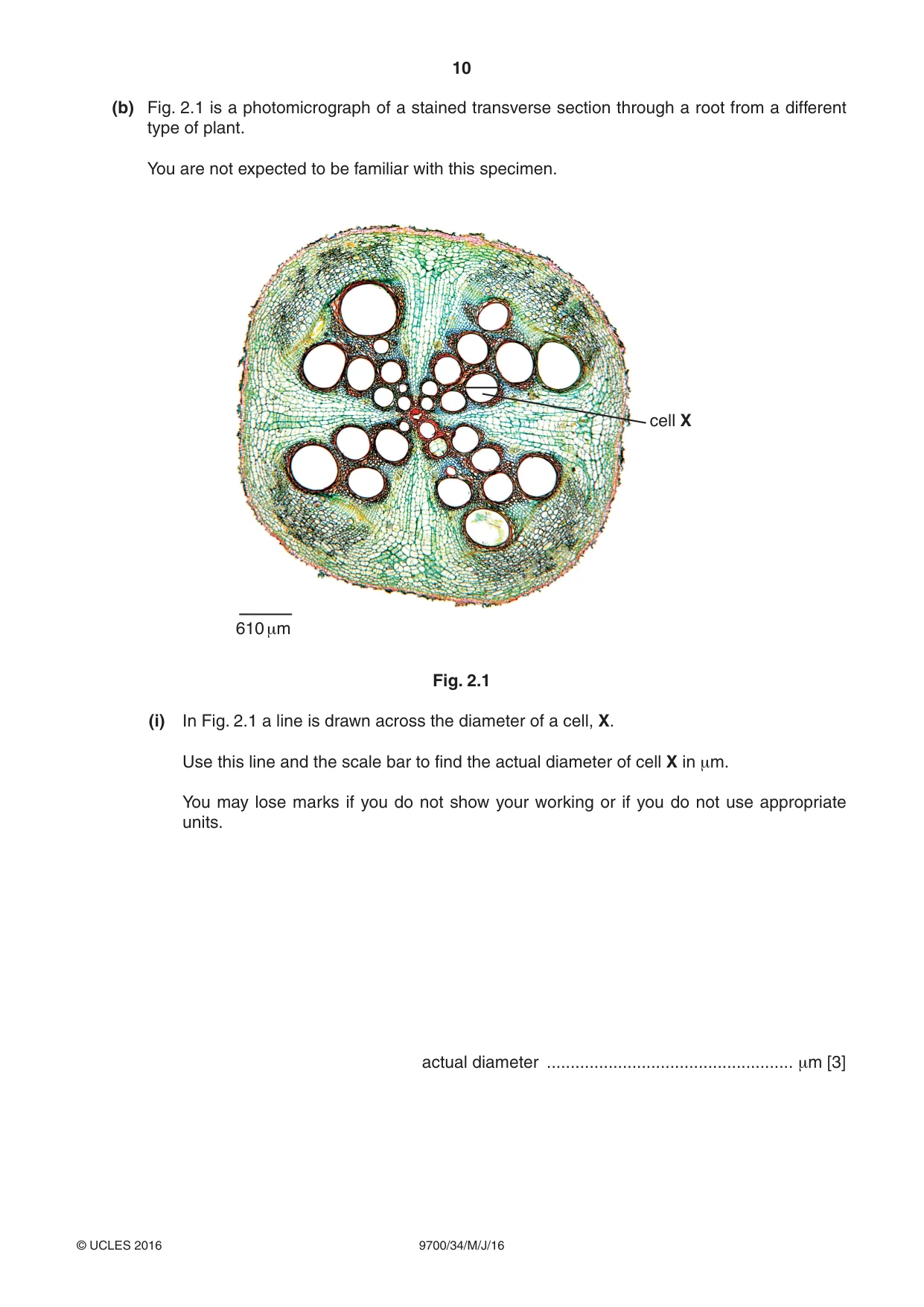 Cambridge A Level Biology 9700 2016 May/June Paper 3 · Variant 4 question paper, page 10 of 12