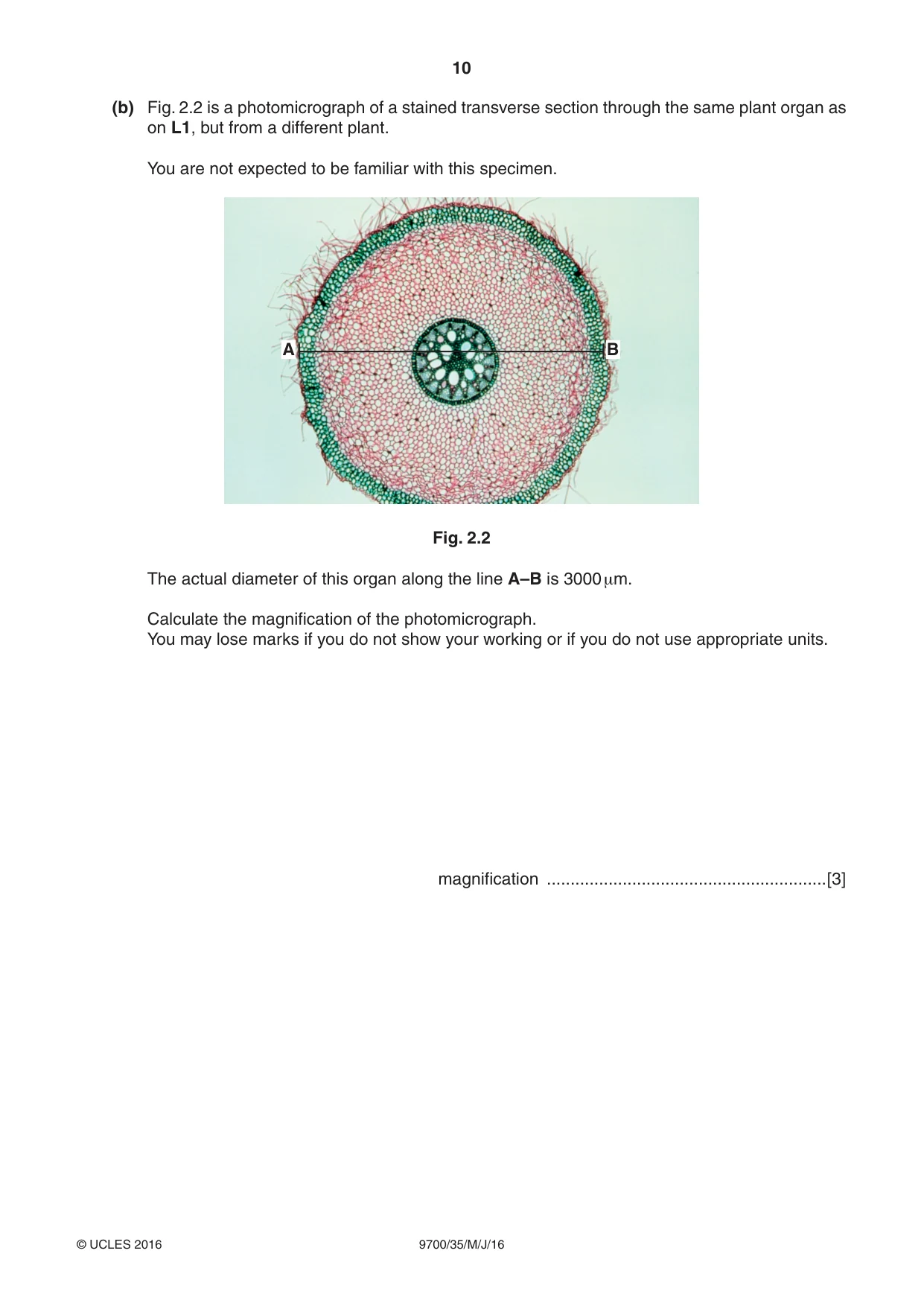 Cambridge A Level Biology 9700 2016 May/June Paper 3 · Variant 5 question paper, page 10 of 12