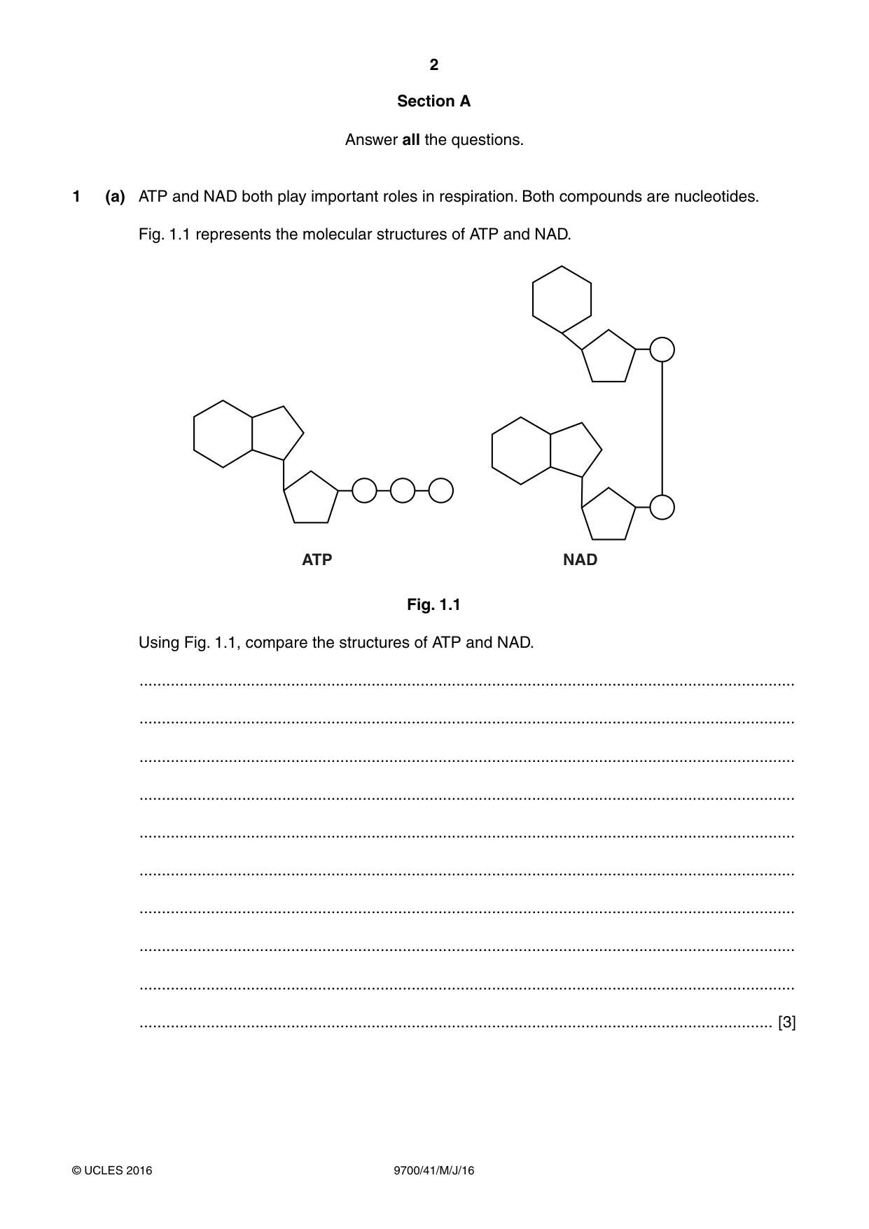 Cambridge A Level Biology 9700 2016 May/June Paper 4 · Variant 1 question paper, page 2 of 24