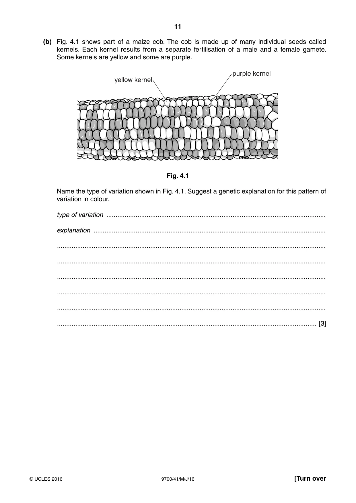Cambridge A Level Biology 9700 2016 May/June Paper 4 · Variant 1 question paper, page 11 of 24