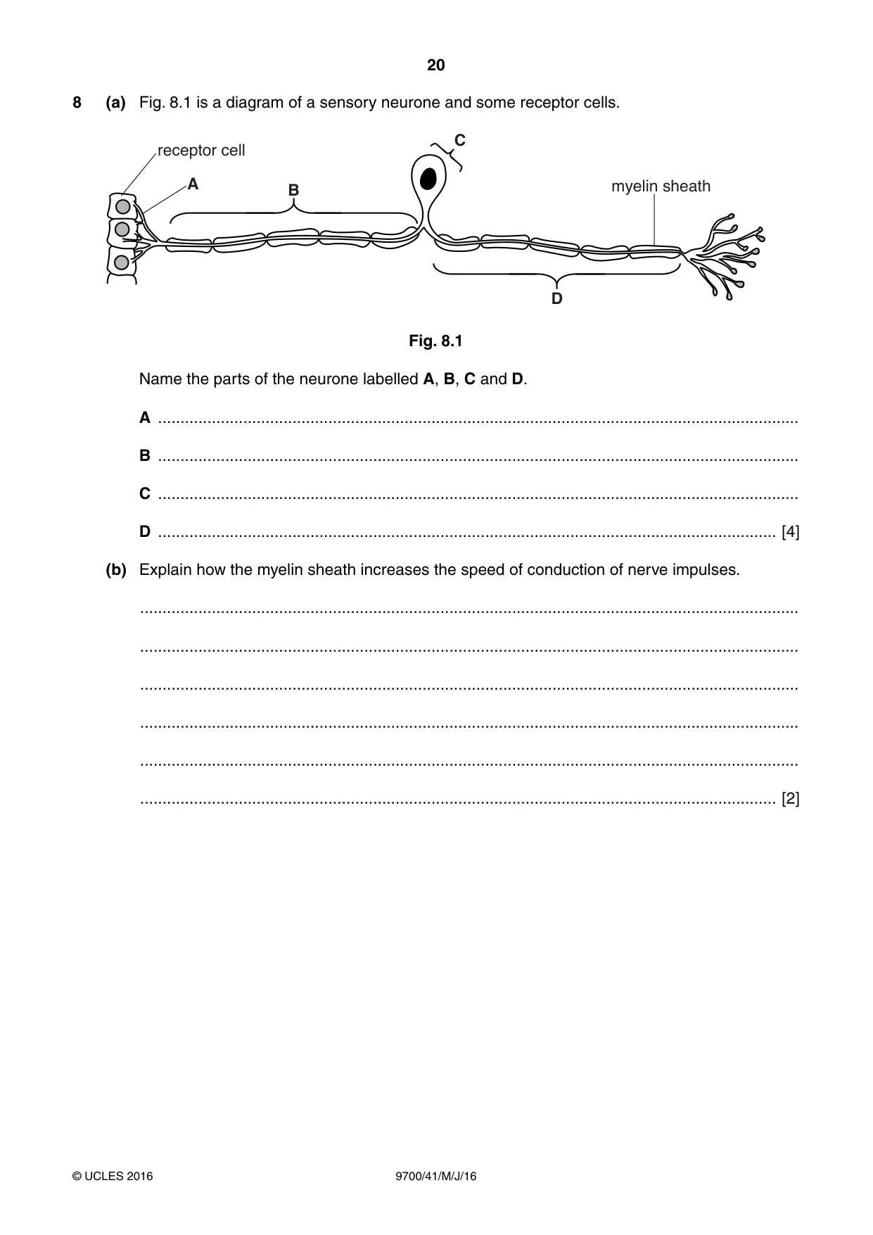 Cambridge A Level Biology 9700 2016 May/June Paper 4 · Variant 1 question paper, page 20 of 24