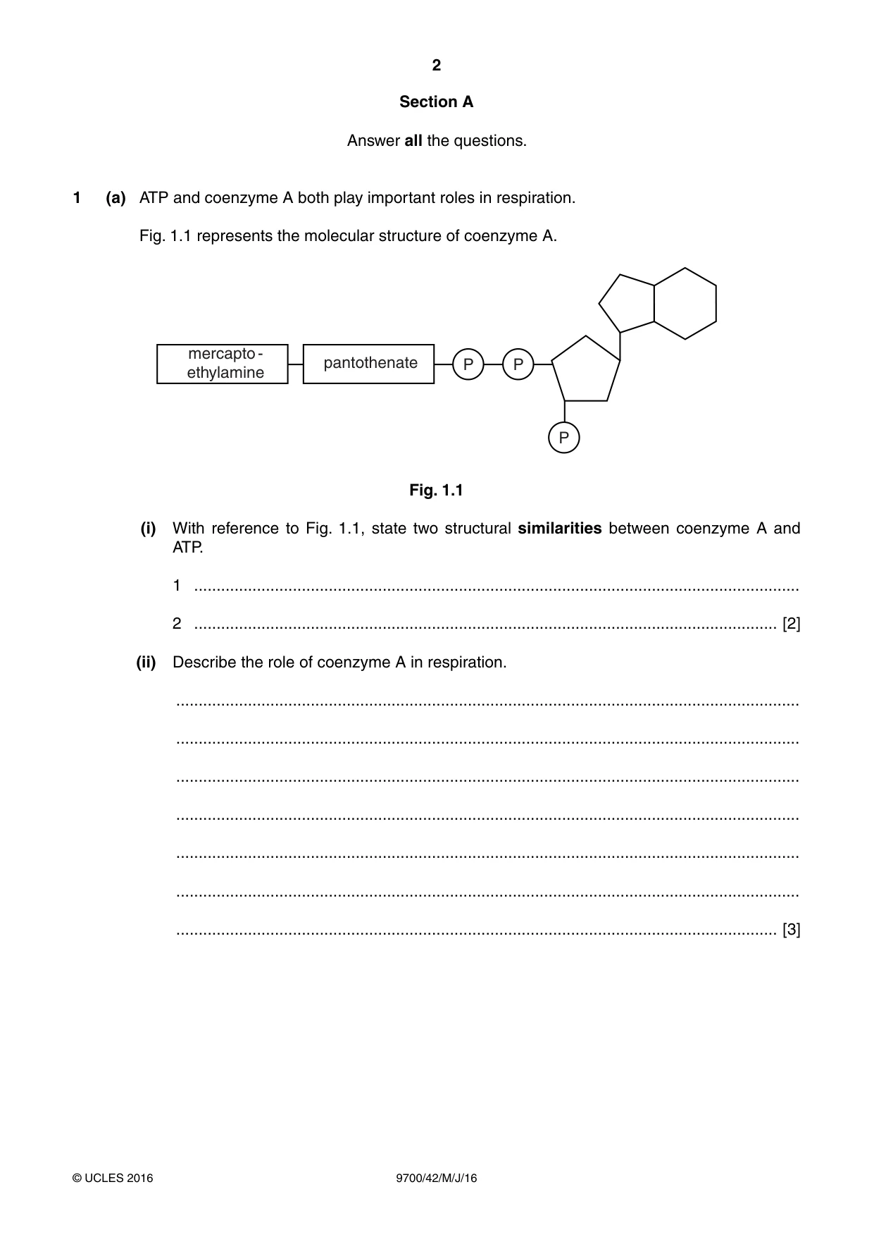 Cambridge A Level Biology 9700 2016 May/June Paper 4 · Variant 2 question paper, page 2 of 24