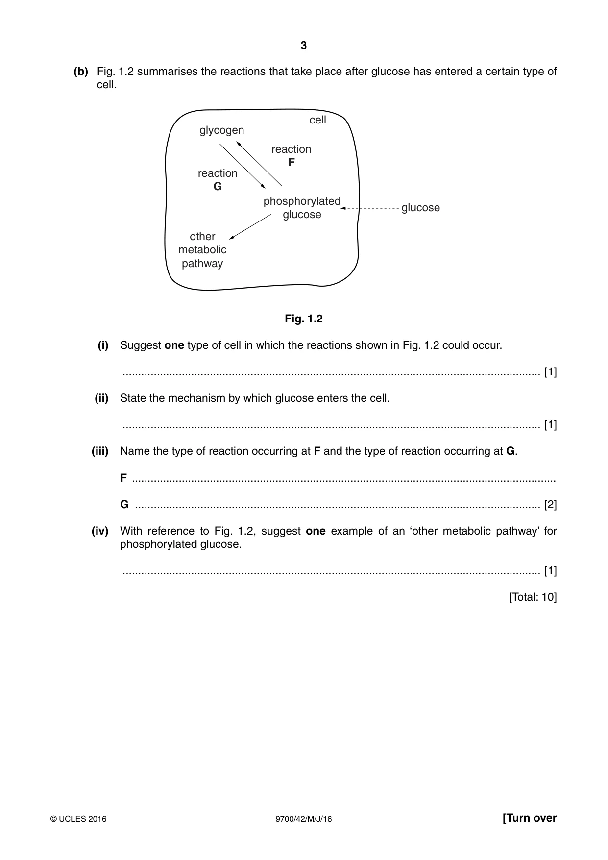 Cambridge A Level Biology 9700 2016 May/June Paper 4 · Variant 2 question paper, page 3 of 24