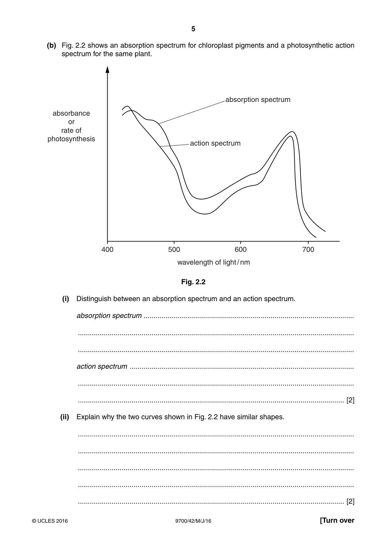 Cambridge A Level Biology 9700 2016 May/June Paper 4 · Variant 2 question paper, page 5 of 24