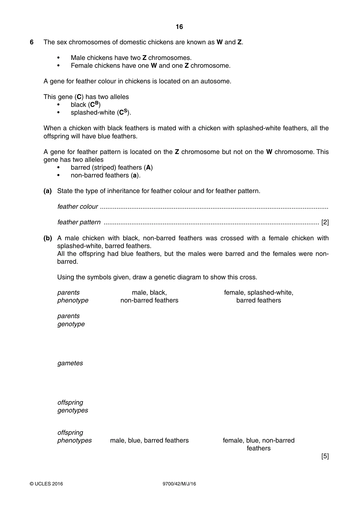 Cambridge A Level Biology 9700 2016 May/June Paper 4 · Variant 2 question paper, page 16 of 24