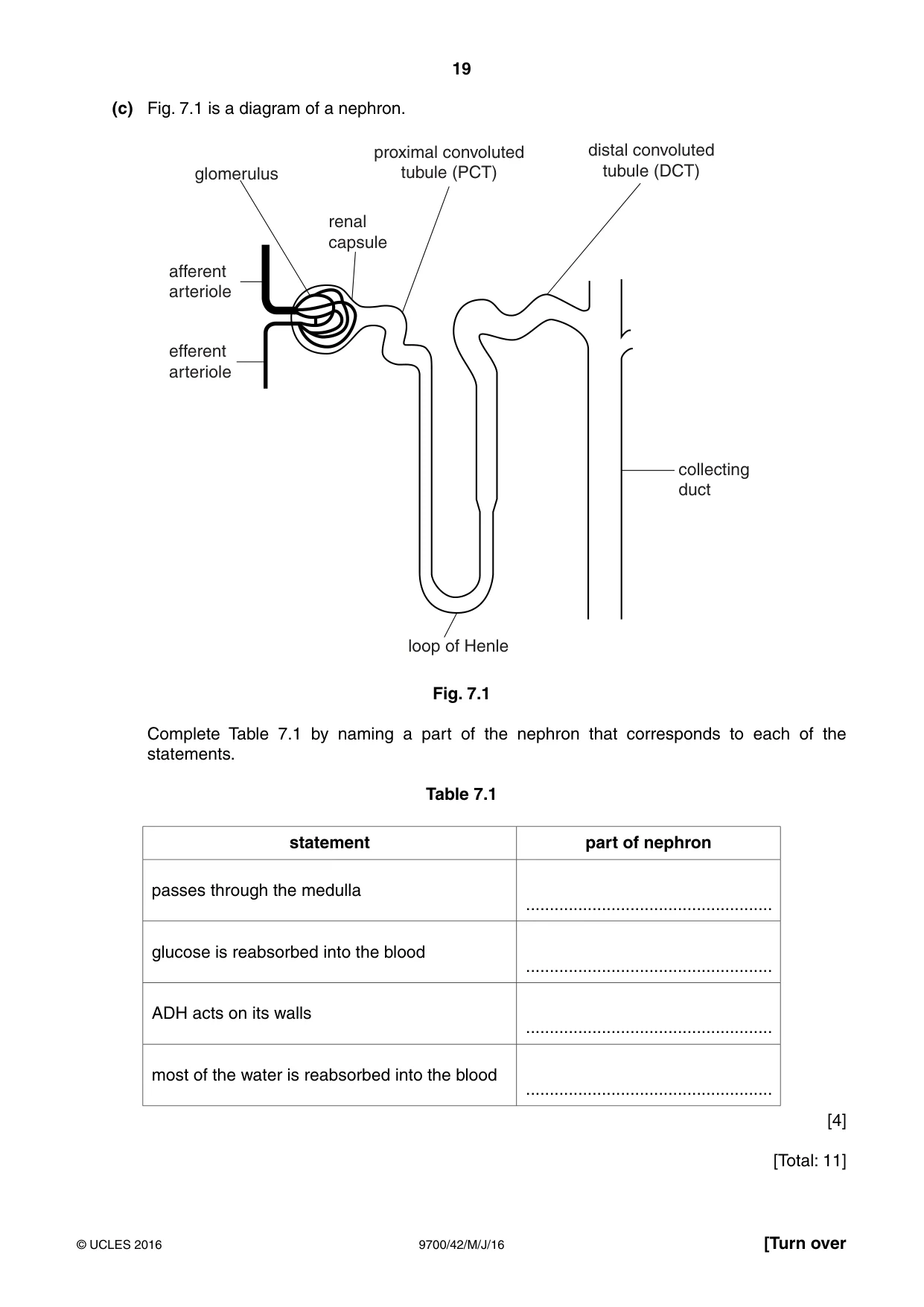 Cambridge A Level Biology 9700 2016 May/June Paper 4 · Variant 2 question paper, page 19 of 24