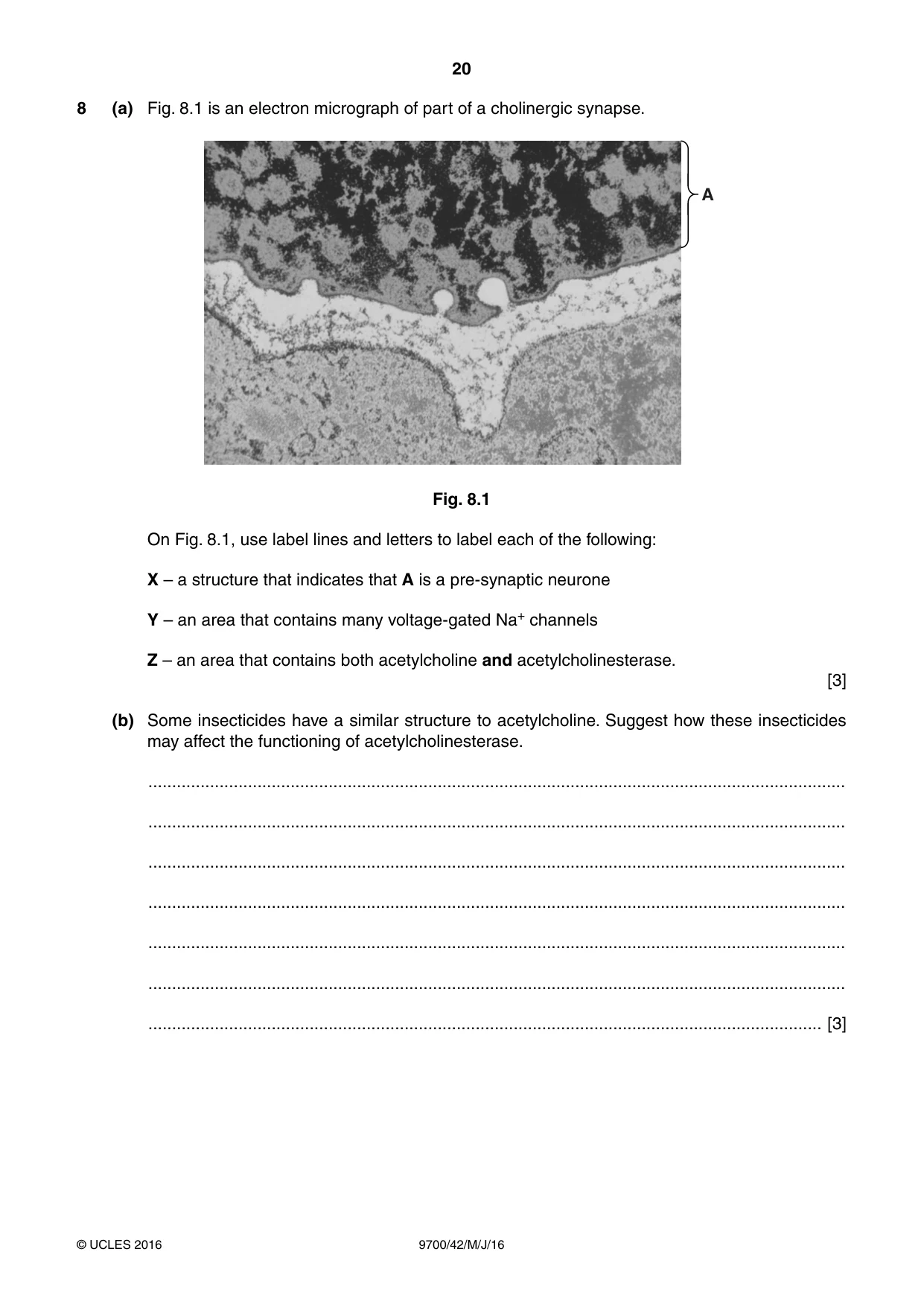 Cambridge A Level Biology 9700 2016 May/June Paper 4 · Variant 2 question paper, page 20 of 24