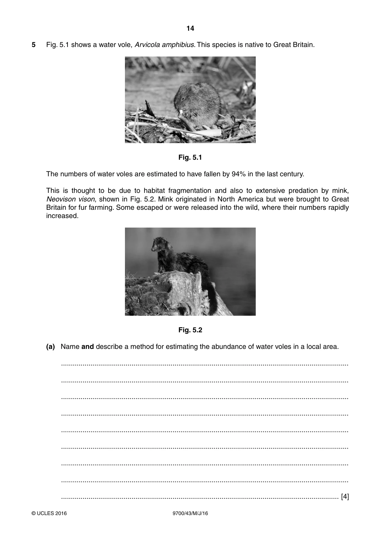Cambridge A Level Biology 9700 2016 May/June Paper 4 · Variant 3 question paper, page 14 of 24