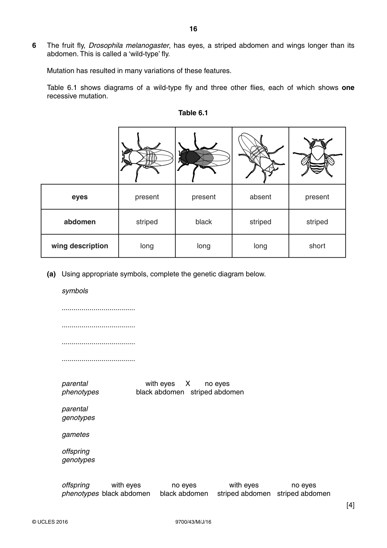 Cambridge A Level Biology 9700 2016 May/June Paper 4 · Variant 3 question paper, page 16 of 24