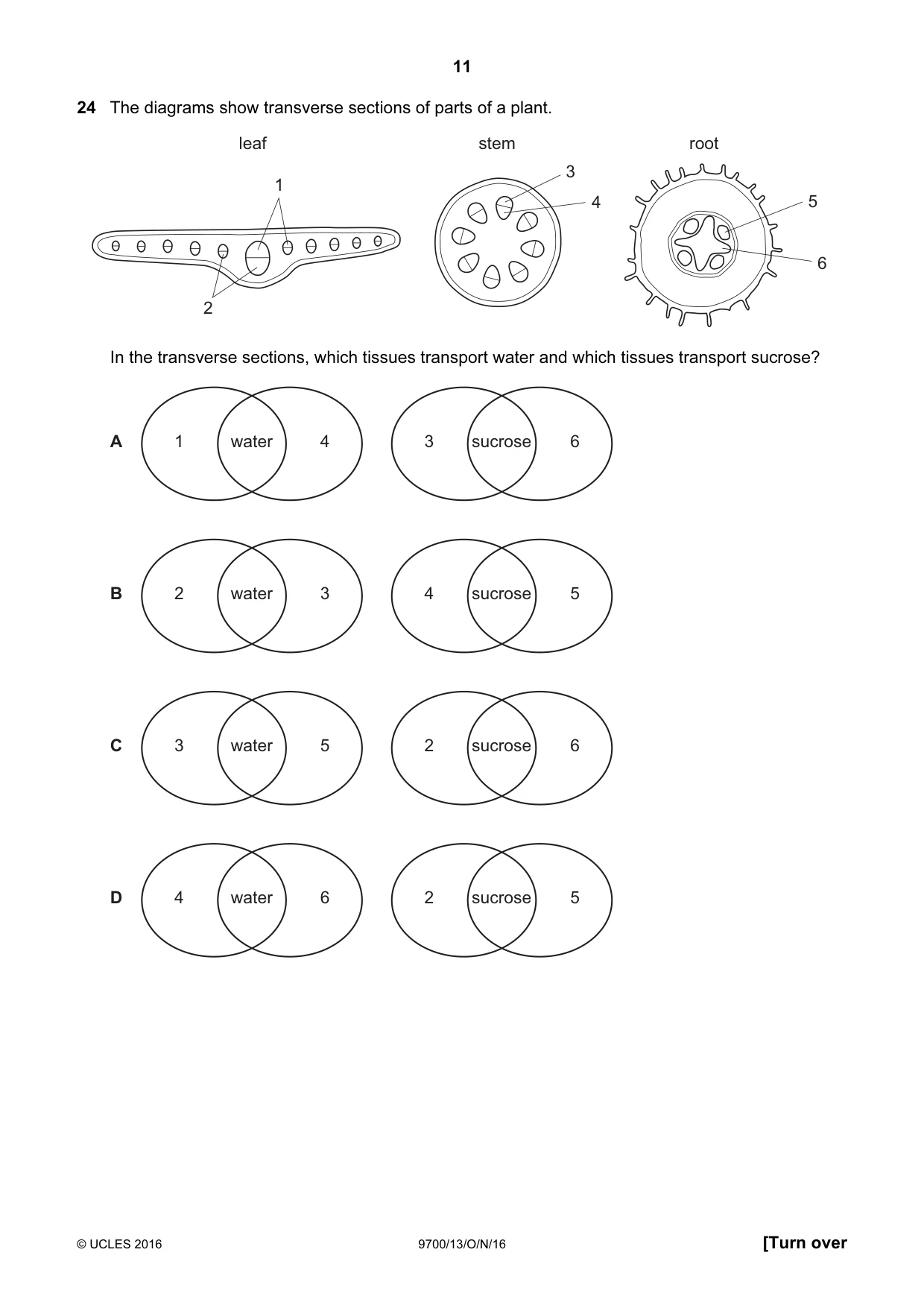 Cambridge A Level Biology 9700 2016 Oct/Nov Paper 1 · Variant 3 question paper, page 11 of 20