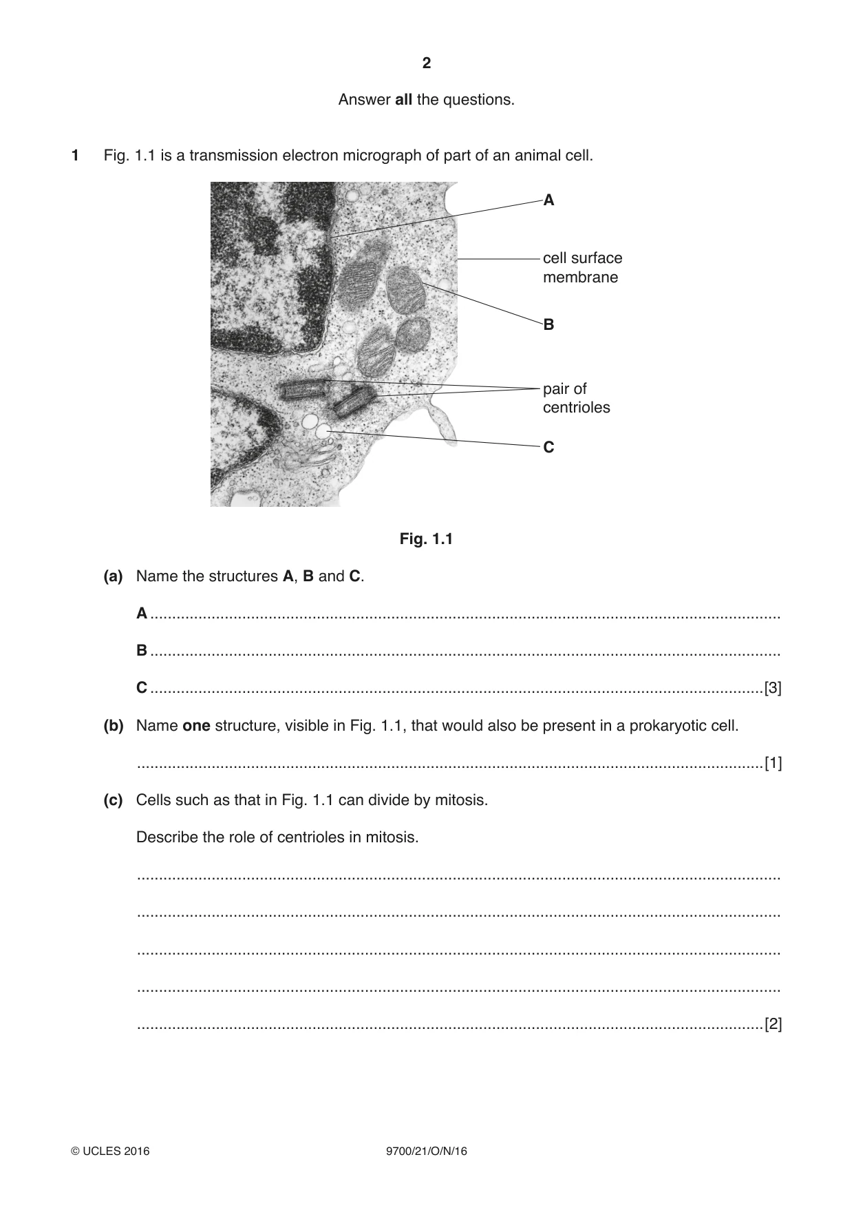 Cambridge A Level Biology 9700 2016 Oct/Nov Paper 2 · Variant 1 question paper, page 2 of 12