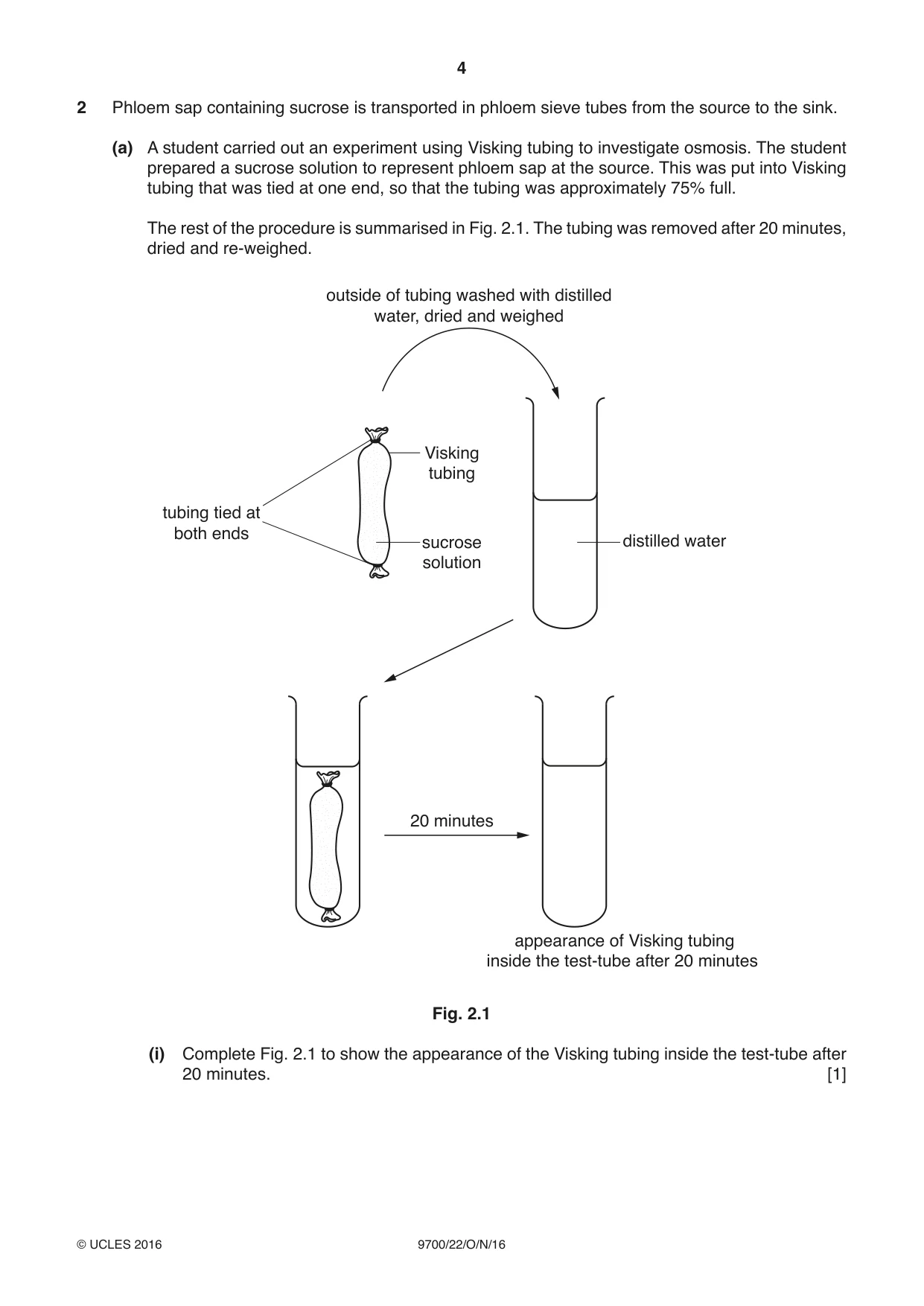 Cambridge A Level Biology 9700 2016 Oct/Nov Paper 2 · Variant 2 question paper, page 4 of 20