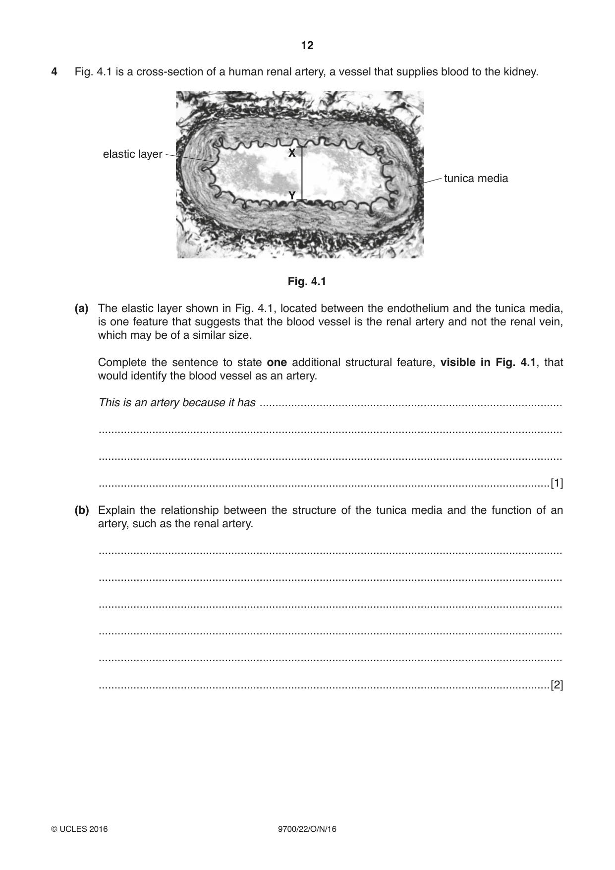 Cambridge A Level Biology 9700 2016 Oct/Nov Paper 2 · Variant 2 question paper, page 12 of 20
