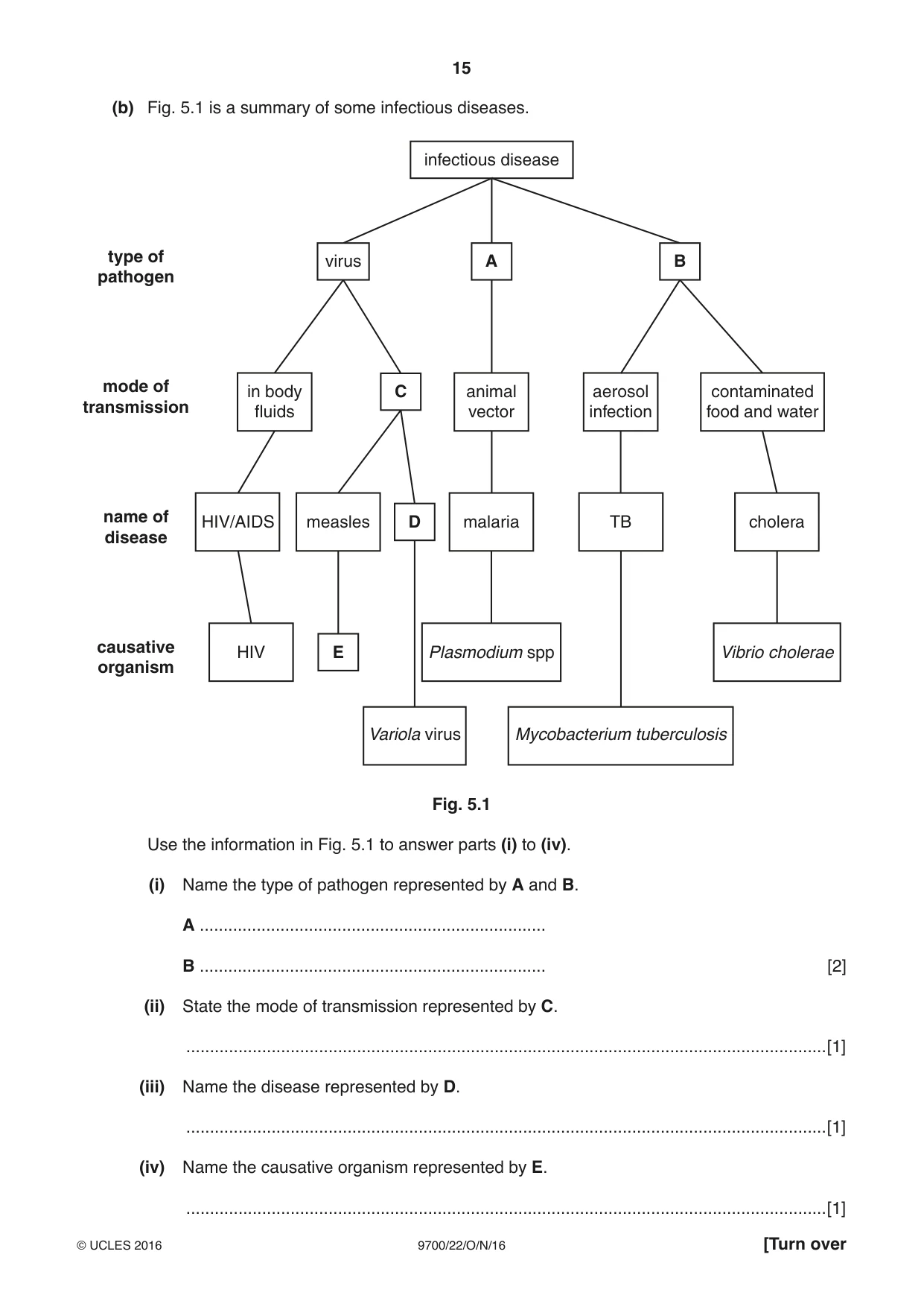 Cambridge A Level Biology 9700 2016 Oct/Nov Paper 2 · Variant 2 question paper, page 15 of 20