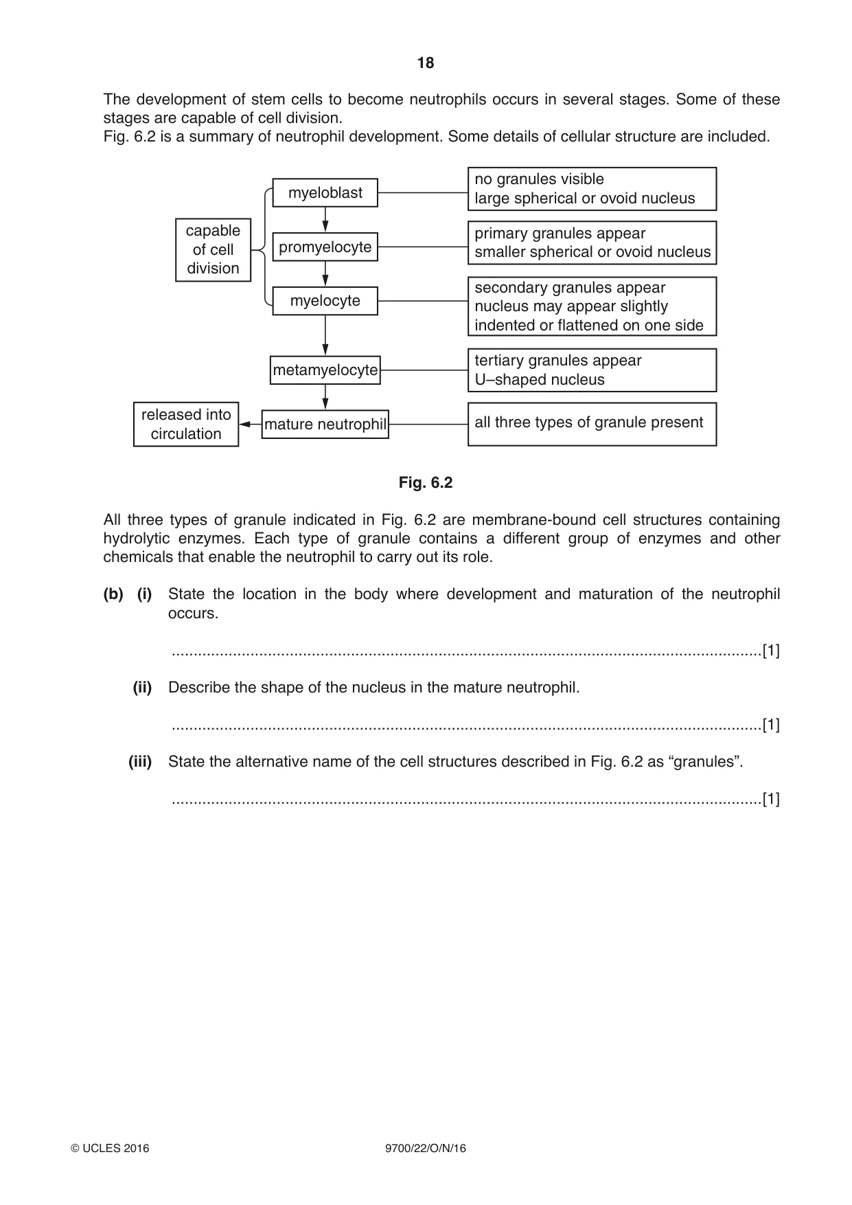 Cambridge A Level Biology 9700 2016 Oct/Nov Paper 2 · Variant 2 question paper, page 18 of 20