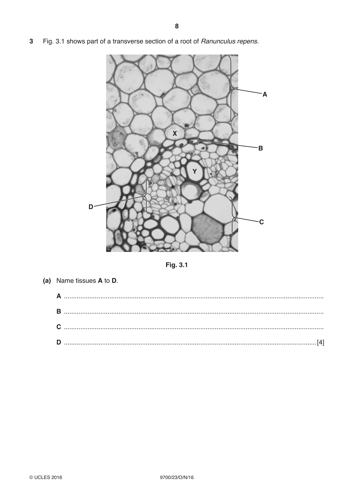 Cambridge A Level Biology 9700 2016 Oct/Nov Paper 2 · Variant 3 question paper, page 8 of 16