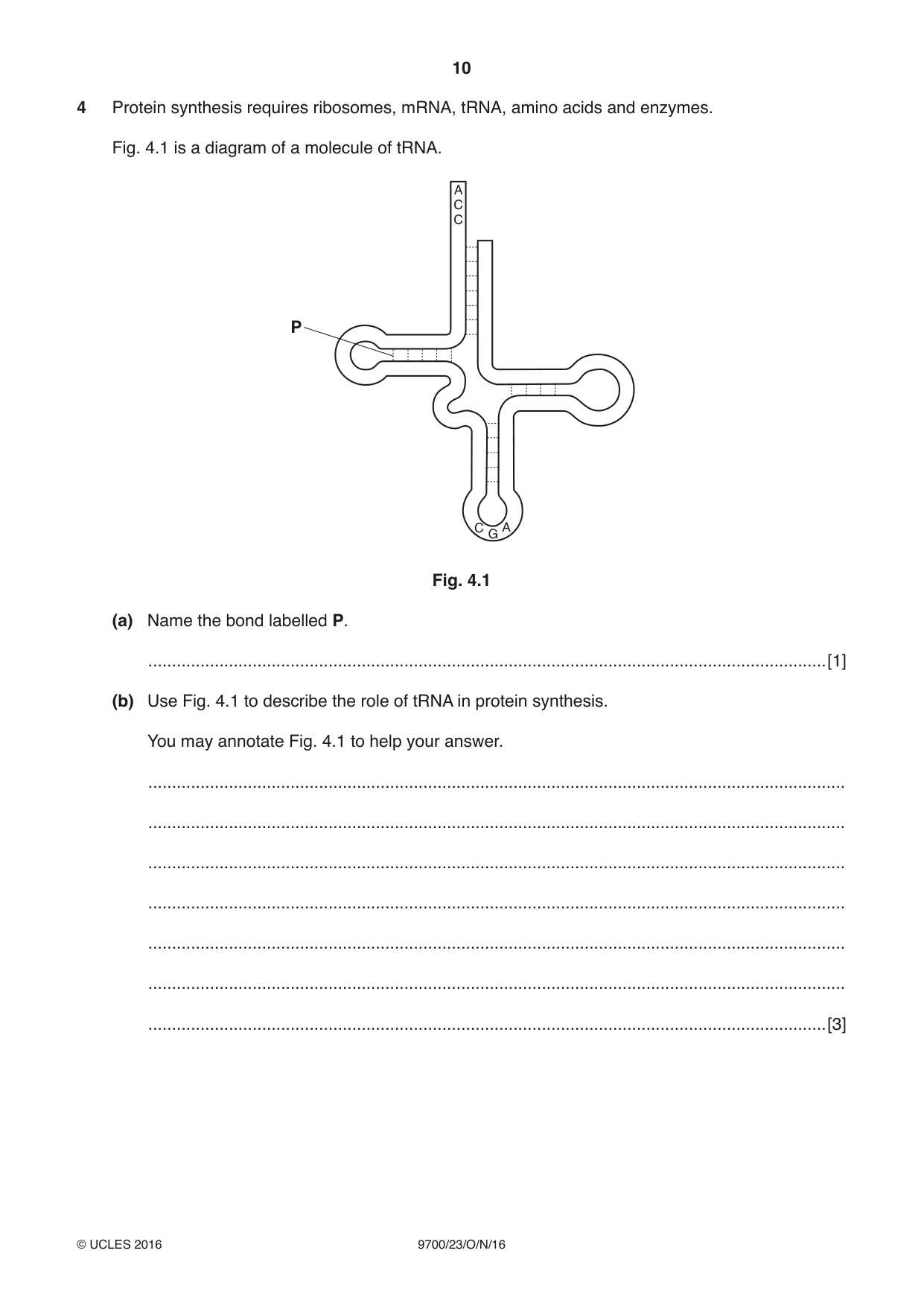 Cambridge A Level Biology 9700 2016 Oct/Nov Paper 2 · Variant 3 question paper, page 10 of 16