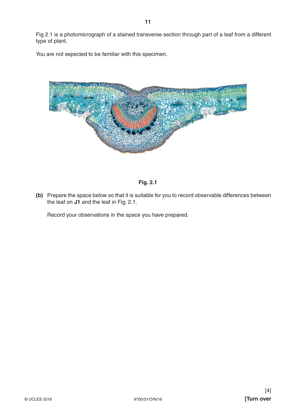 Cambridge A Level Biology 9700 2016 Oct/Nov Paper 3 · Variant 1 question paper, page 11 of 16