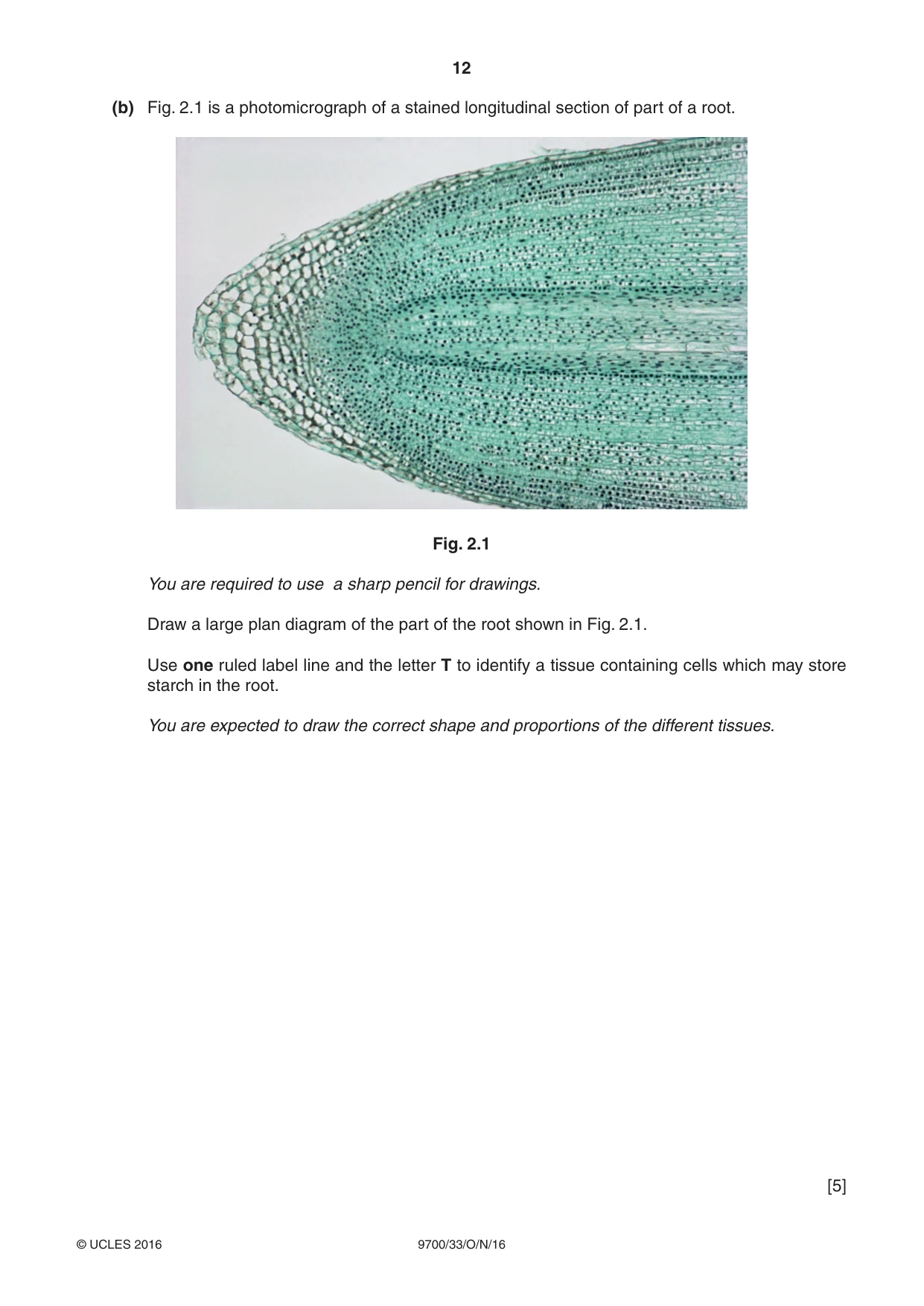 Cambridge A Level Biology 9700 2016 Oct/Nov Paper 3 · Variant 3 question paper, page 12 of 16