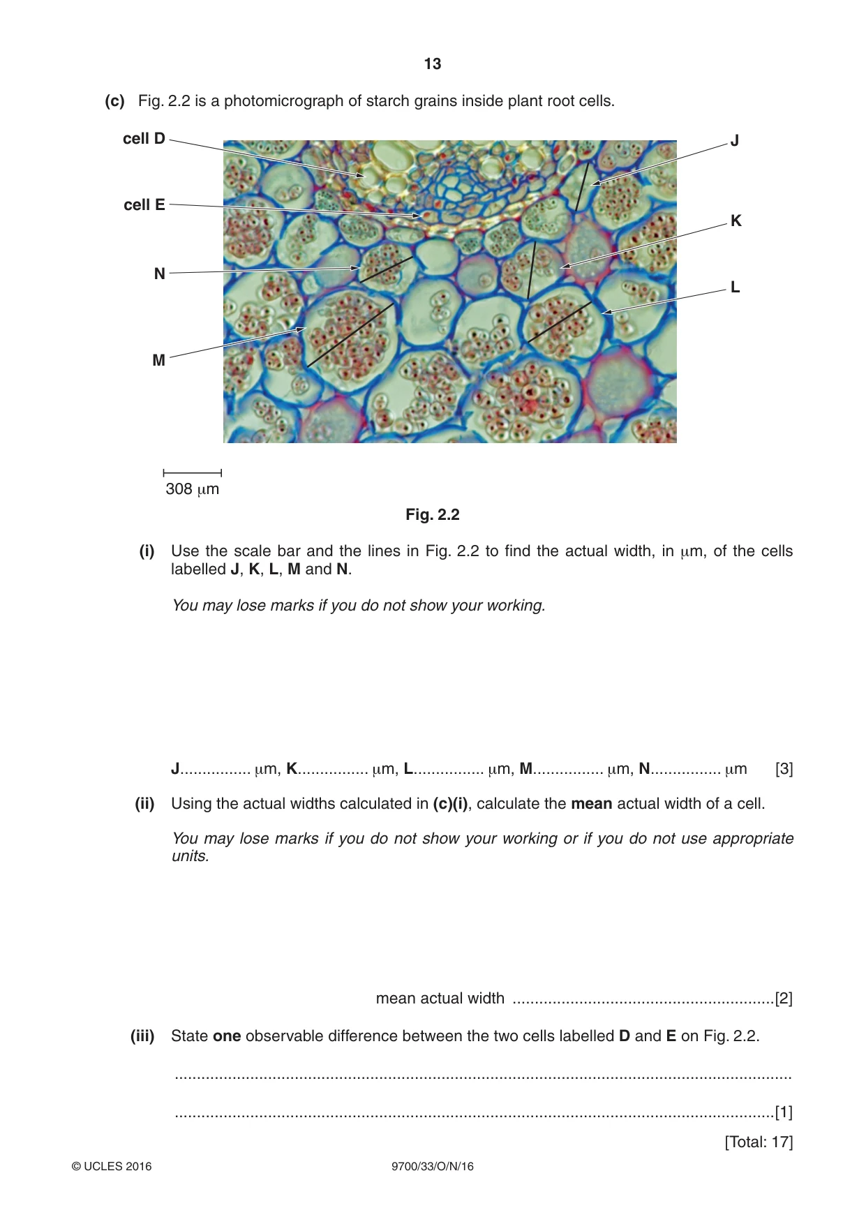 Cambridge A Level Biology 9700 2016 Oct/Nov Paper 3 · Variant 3 question paper, page 13 of 16