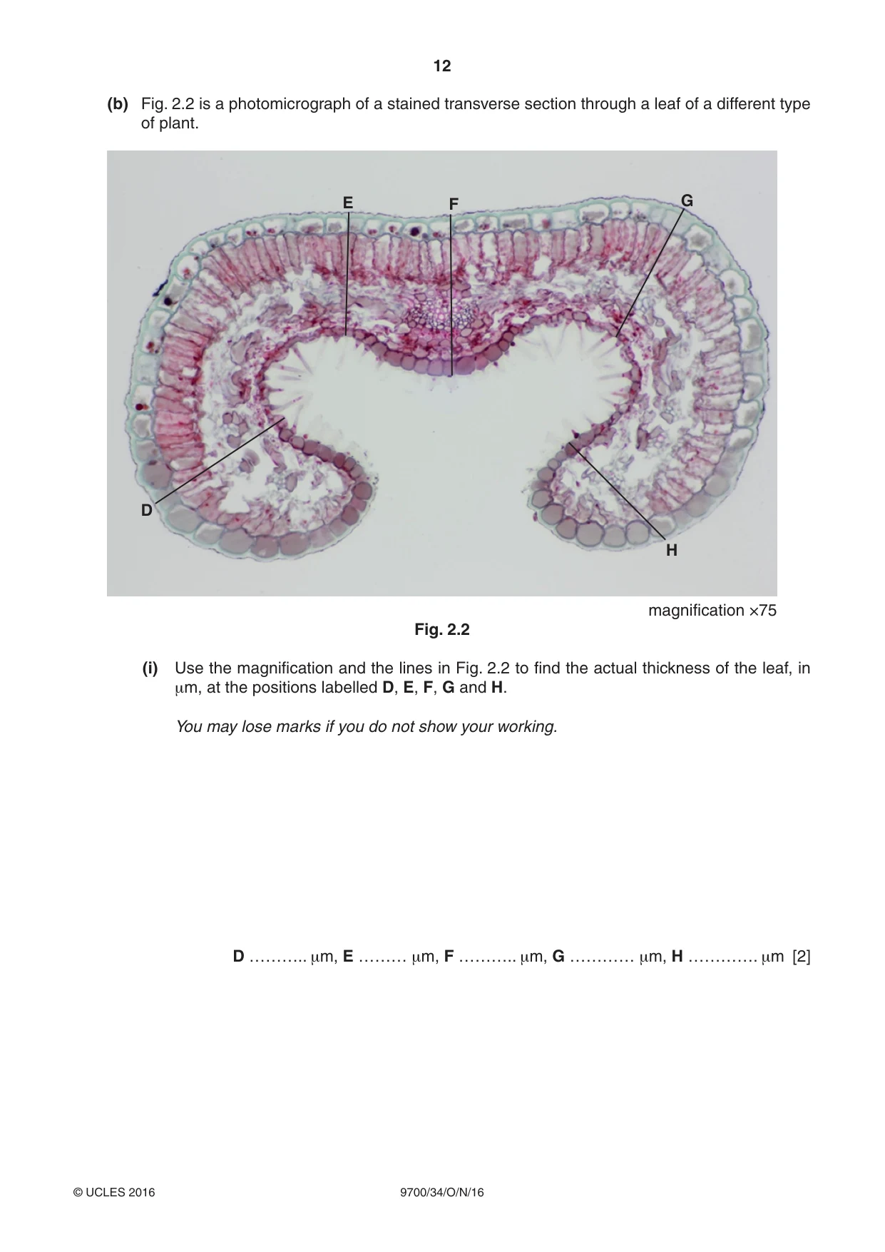Cambridge A Level Biology 9700 2016 Oct/Nov Paper 3 · Variant 4 question paper, page 12 of 16
