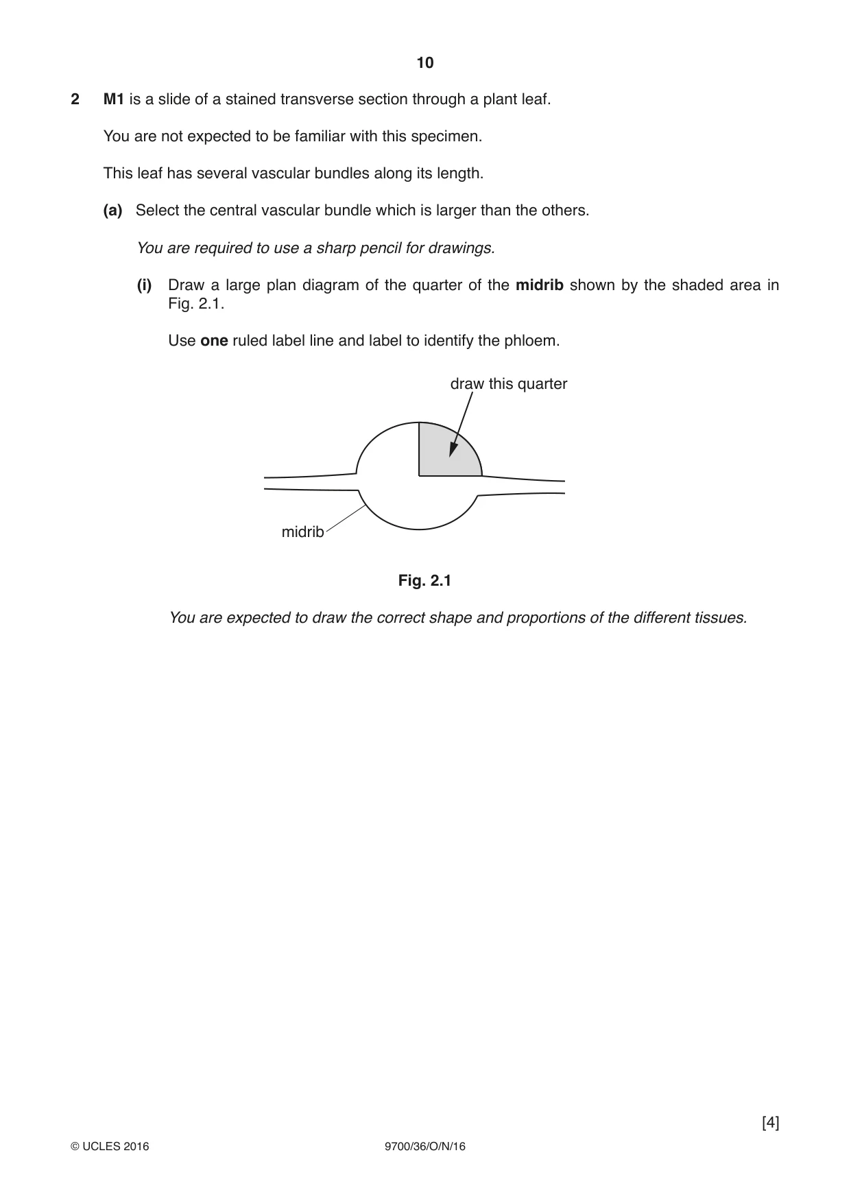 Cambridge A Level Biology 9700 2016 Oct/Nov Paper 3 · Variant 6 question paper, page 10 of 16